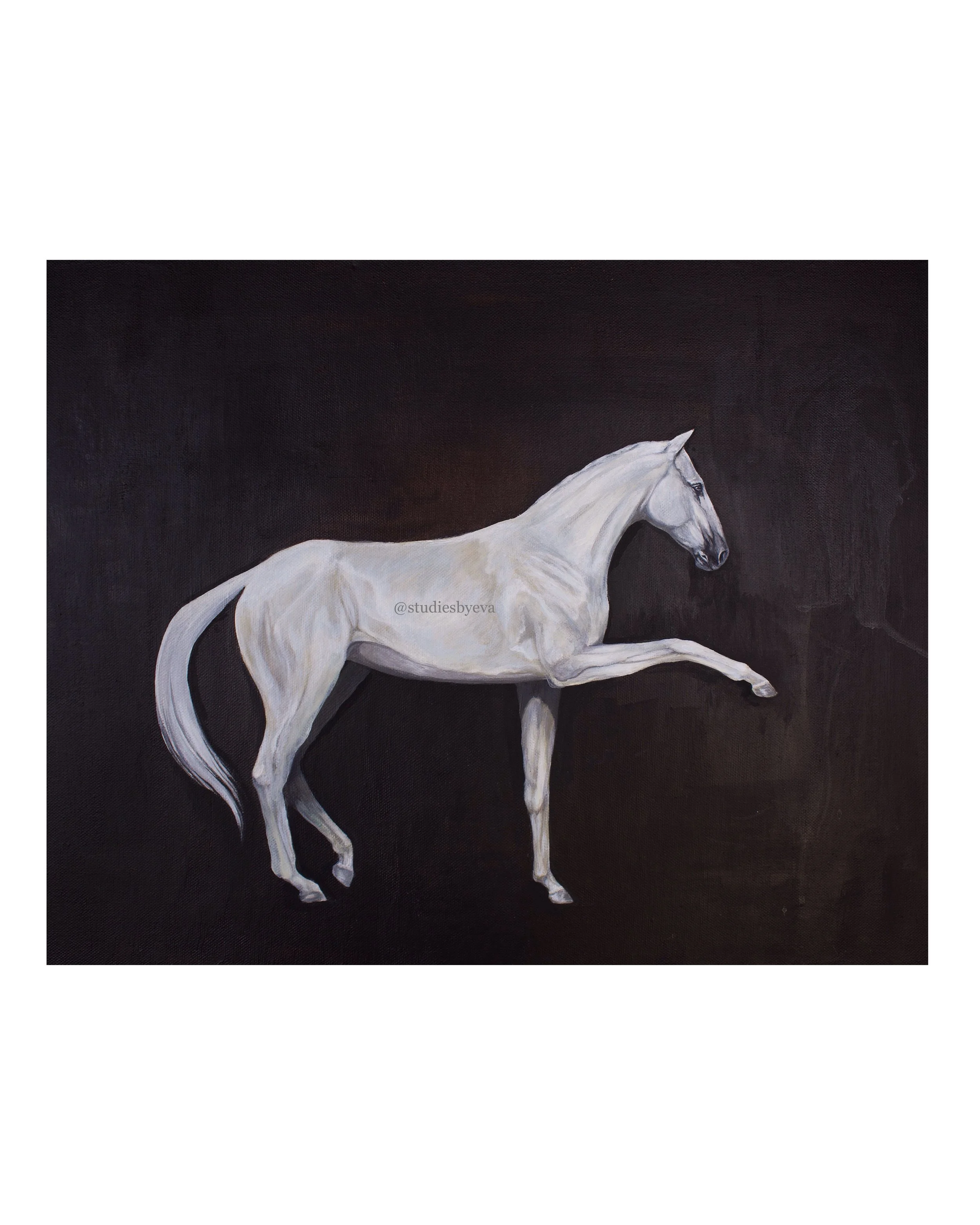 "Andalusian Horse" painting