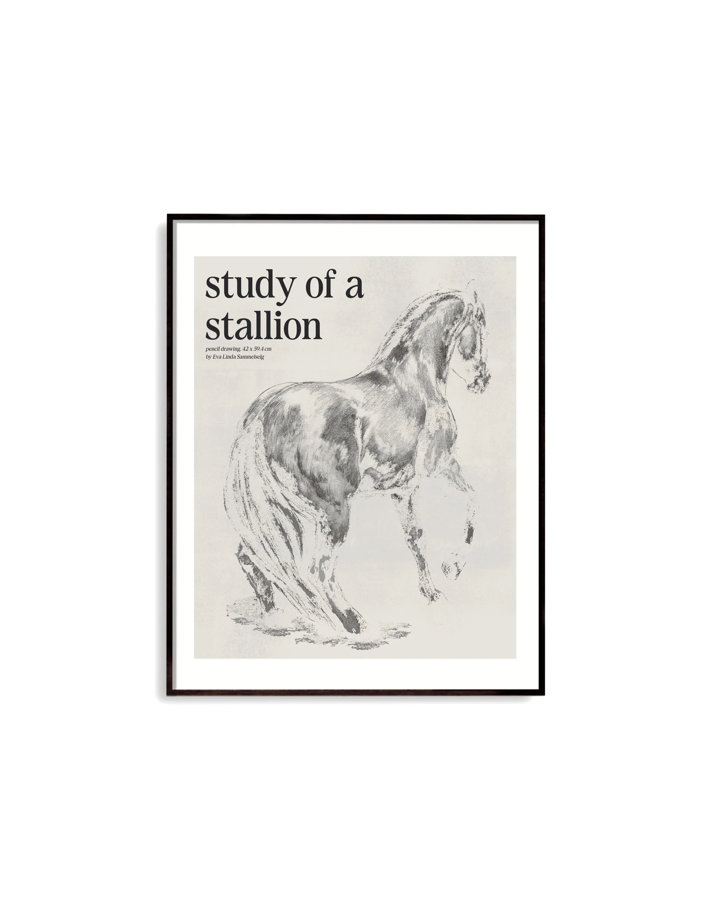 "Study of a stallion" print of a horse pencil drawing for home decor art