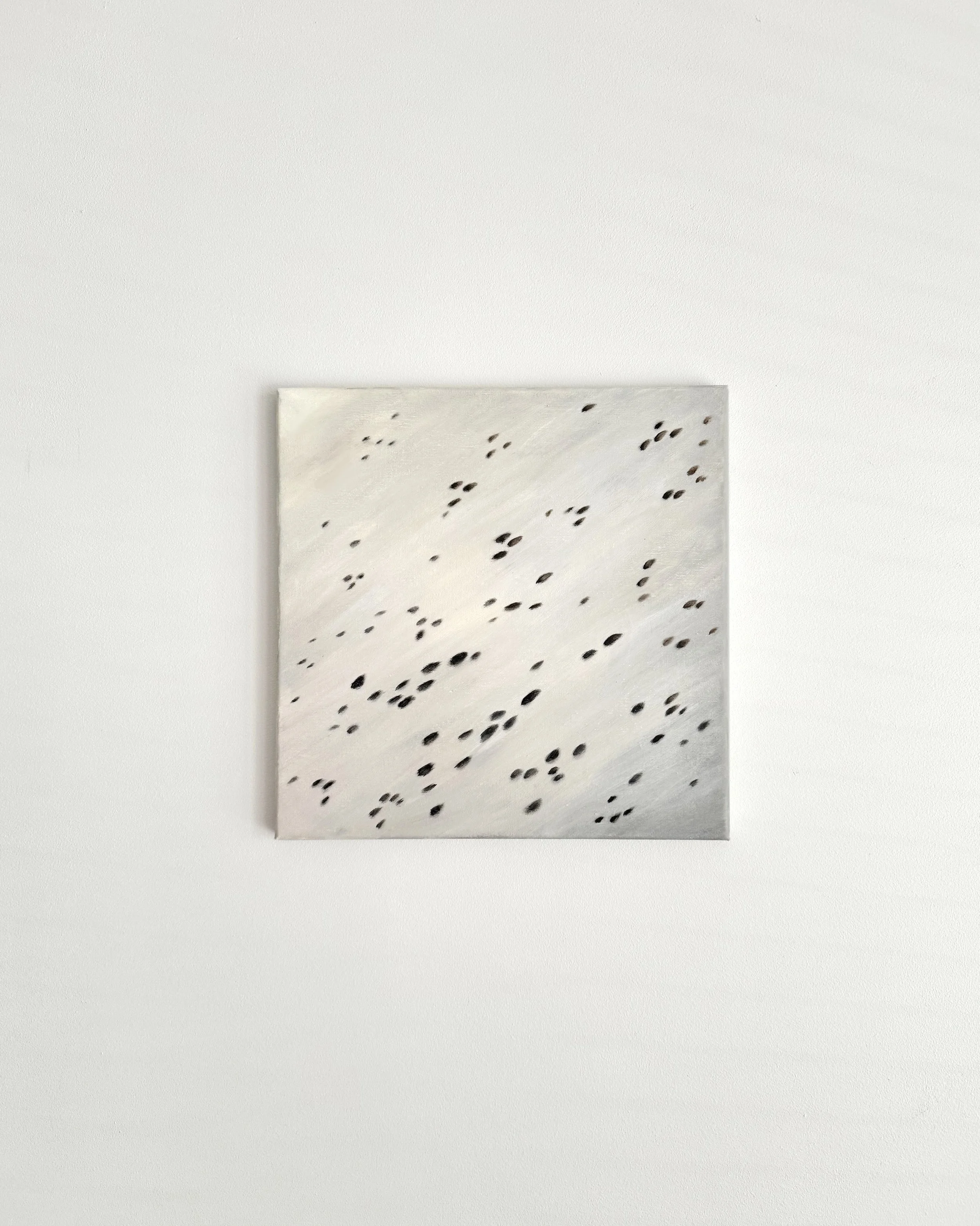 spotted pattern texture black and white fur appaloosa horse painting.