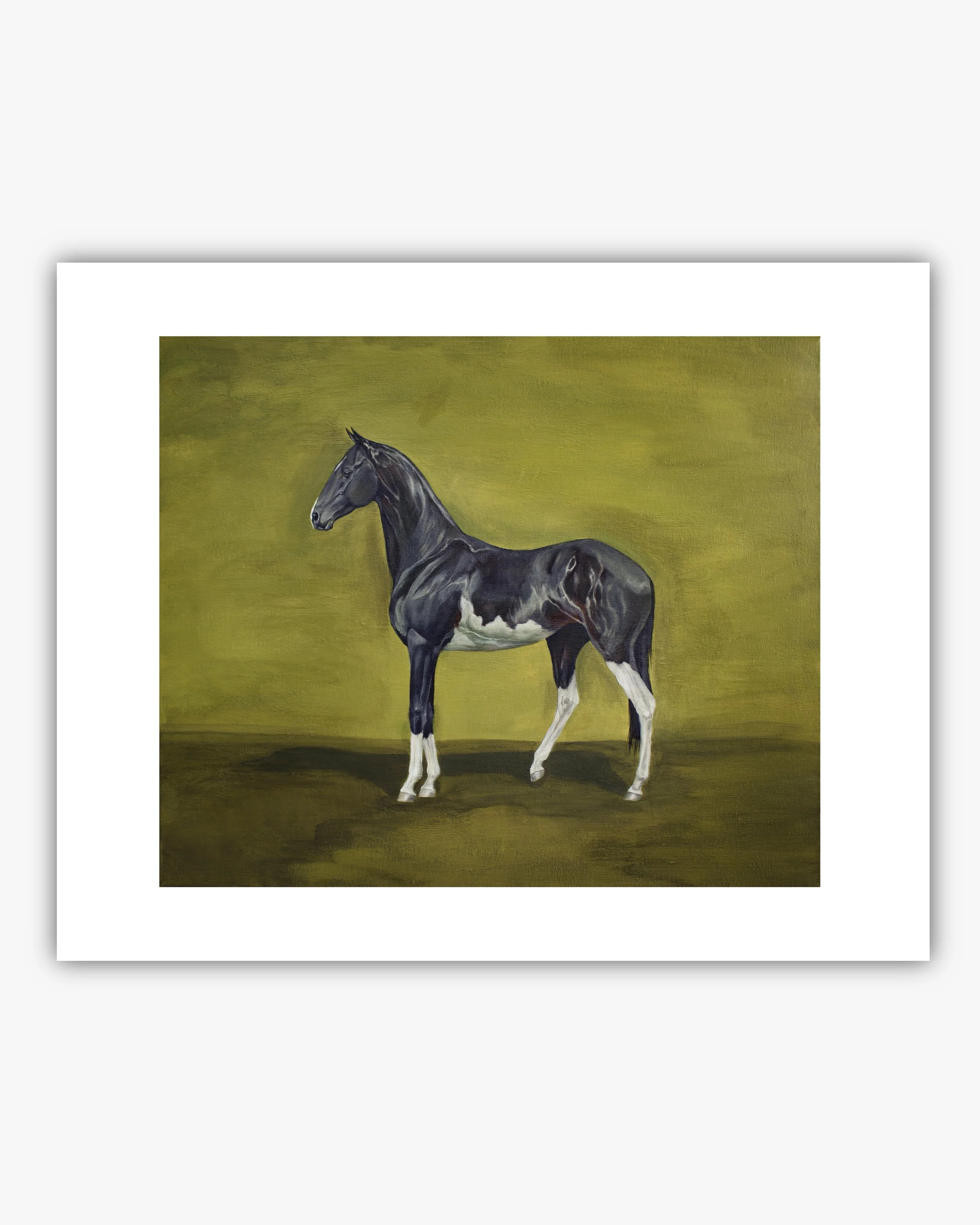 "Akhal-Teke" print