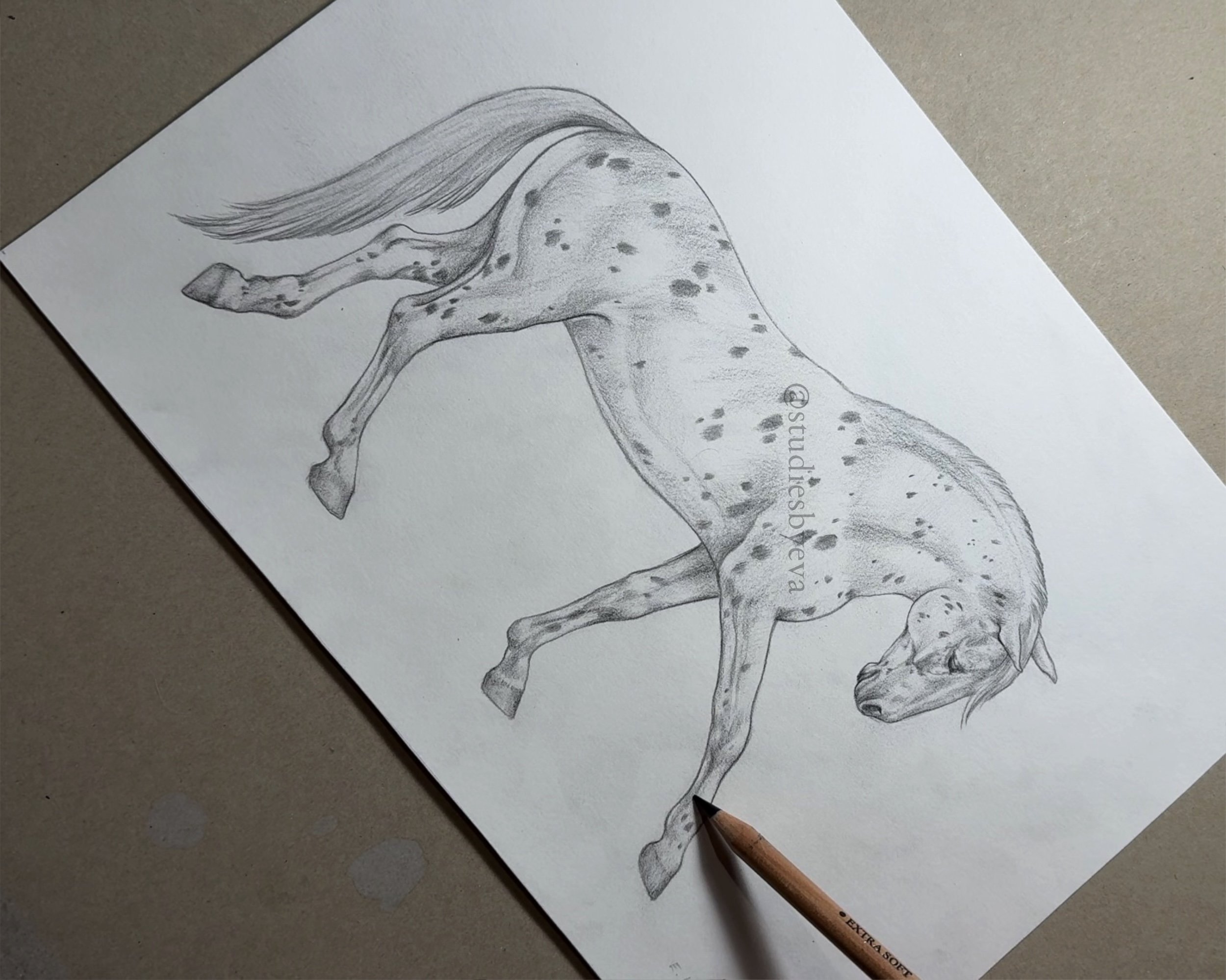Untitled_Artwork 16.jpg