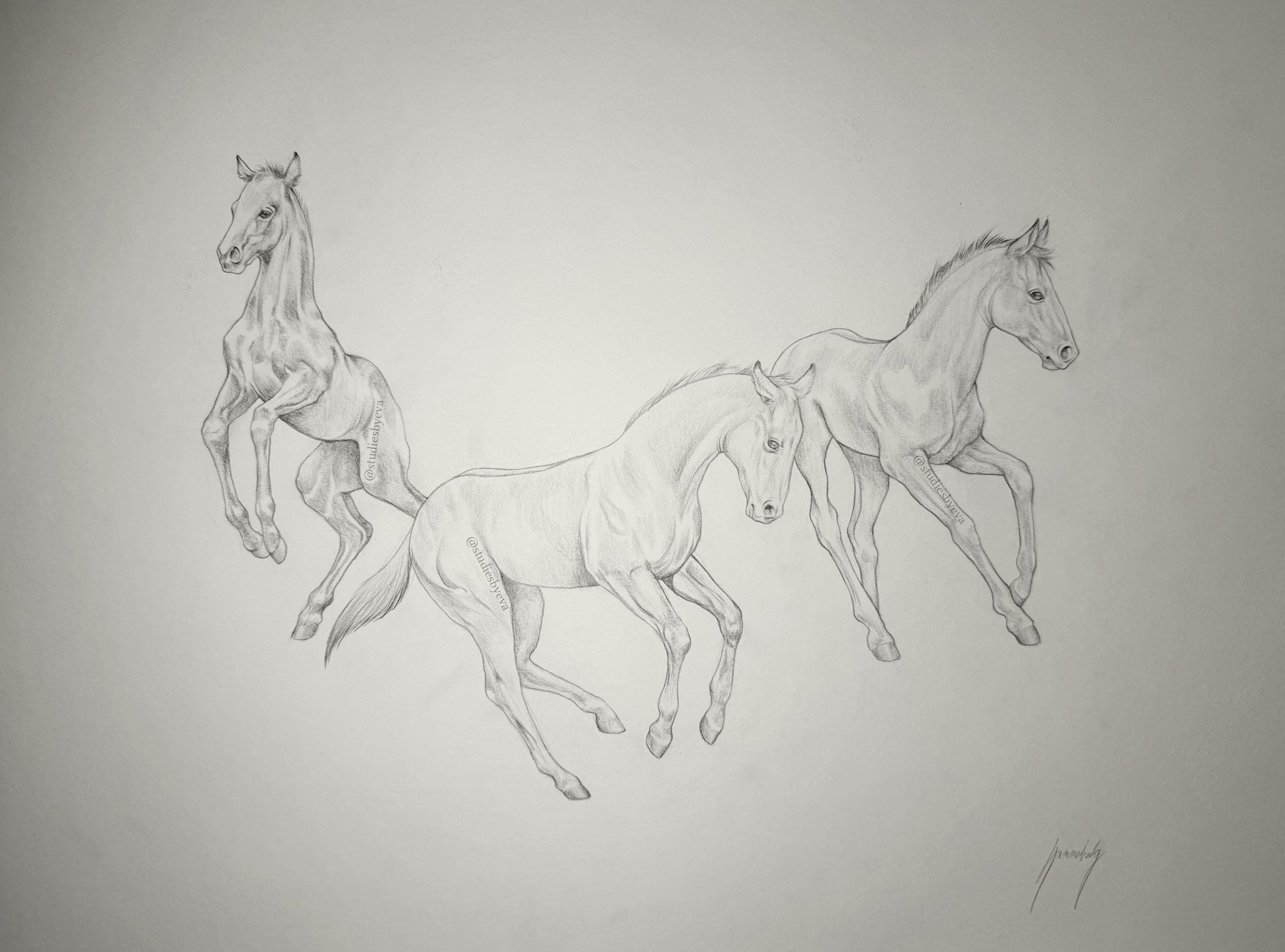 Untitled_Artwork 12.jpg