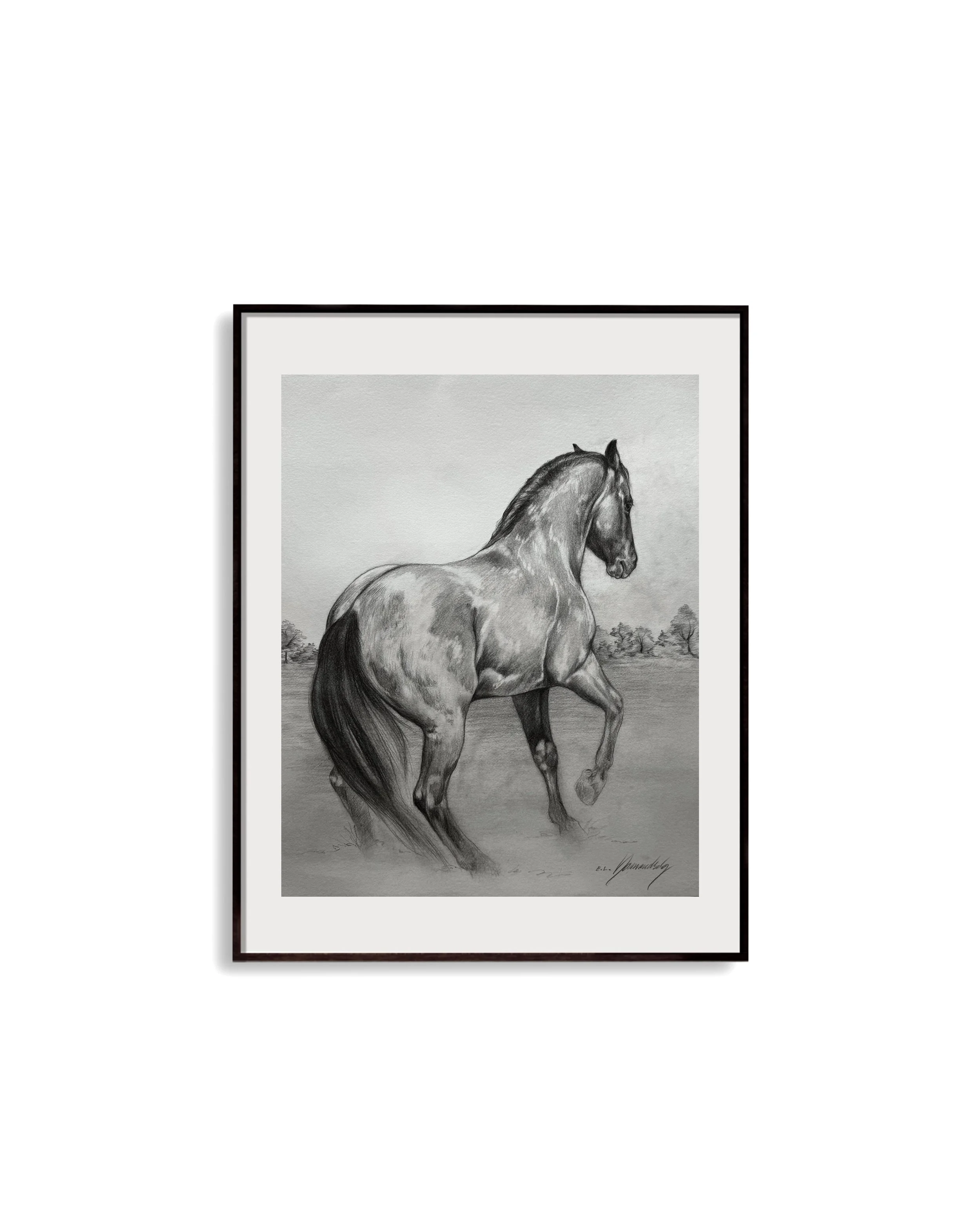 Study of a horse drawing print black and white fine art home decor