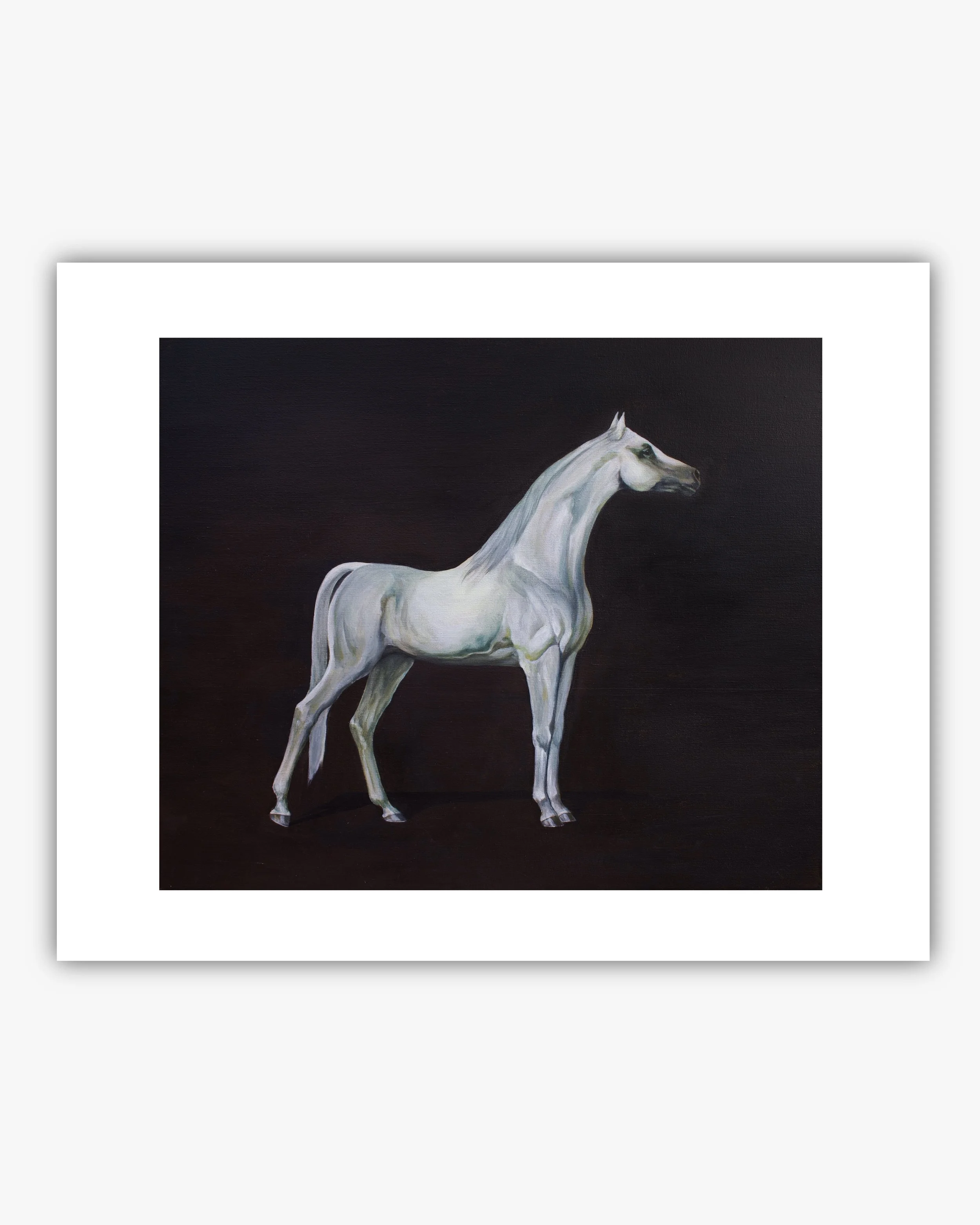 "Grey Arabian Horse" print