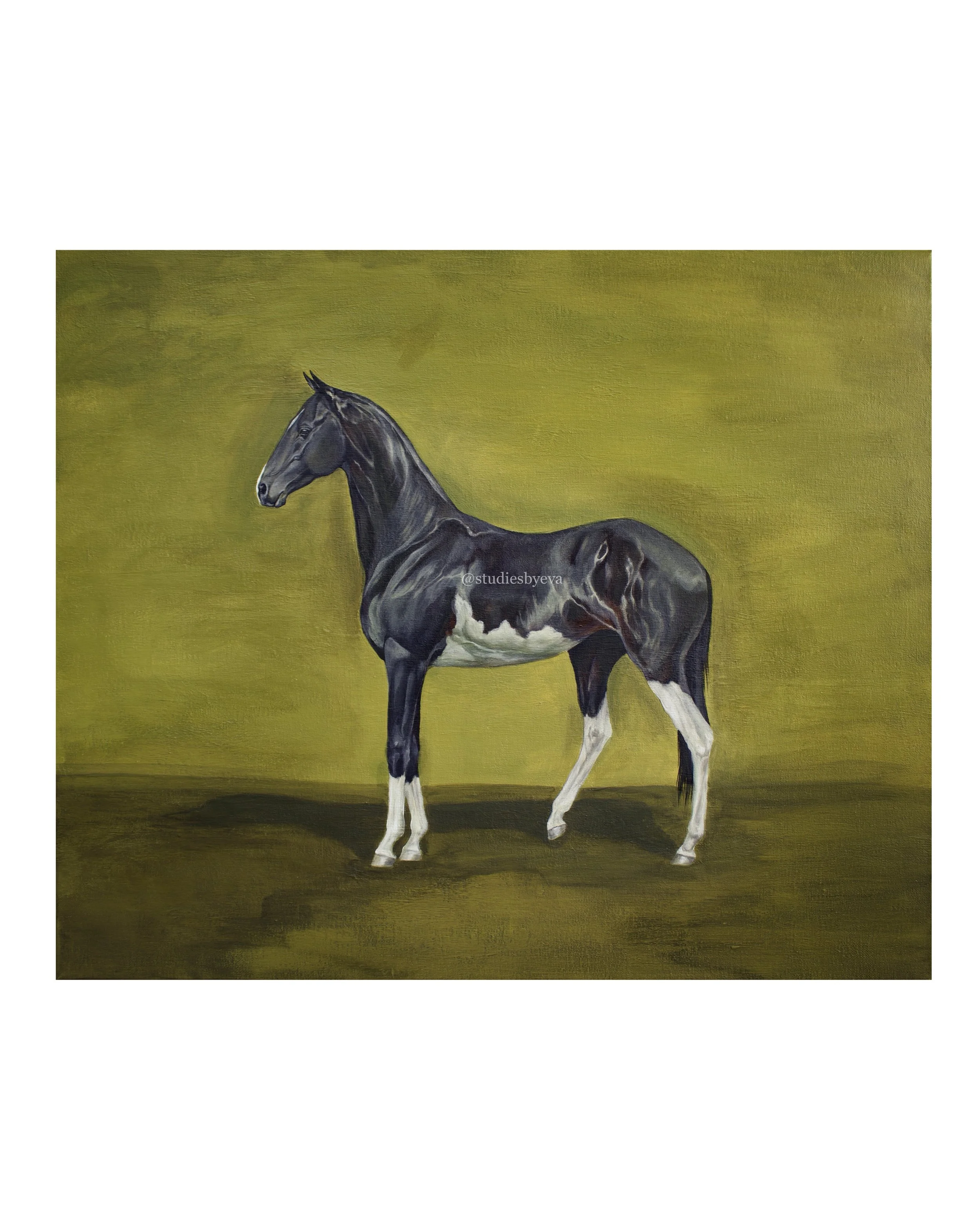 "Akhal-Teke" painting