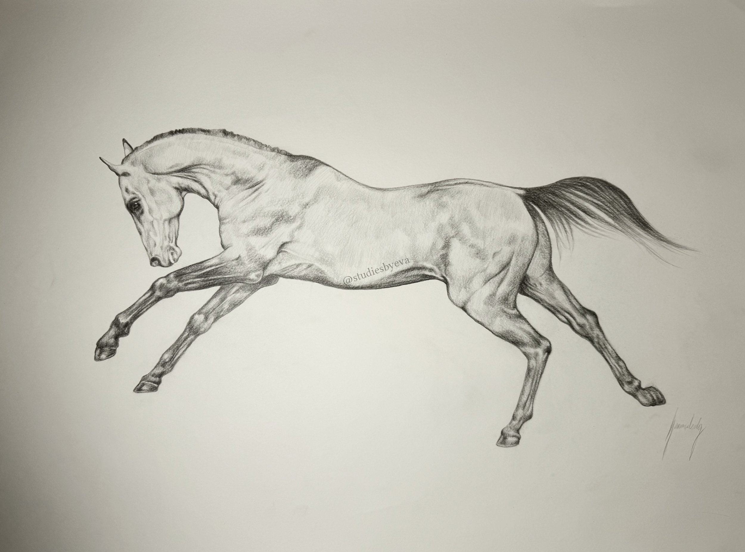 Untitled_Artwork 11.jpg