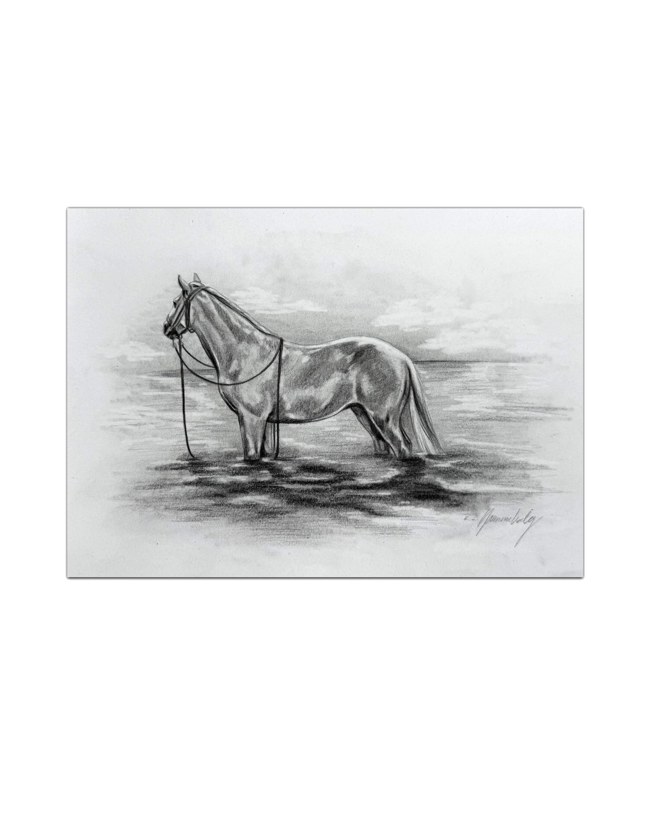Drawing of horse swimming for home decor.