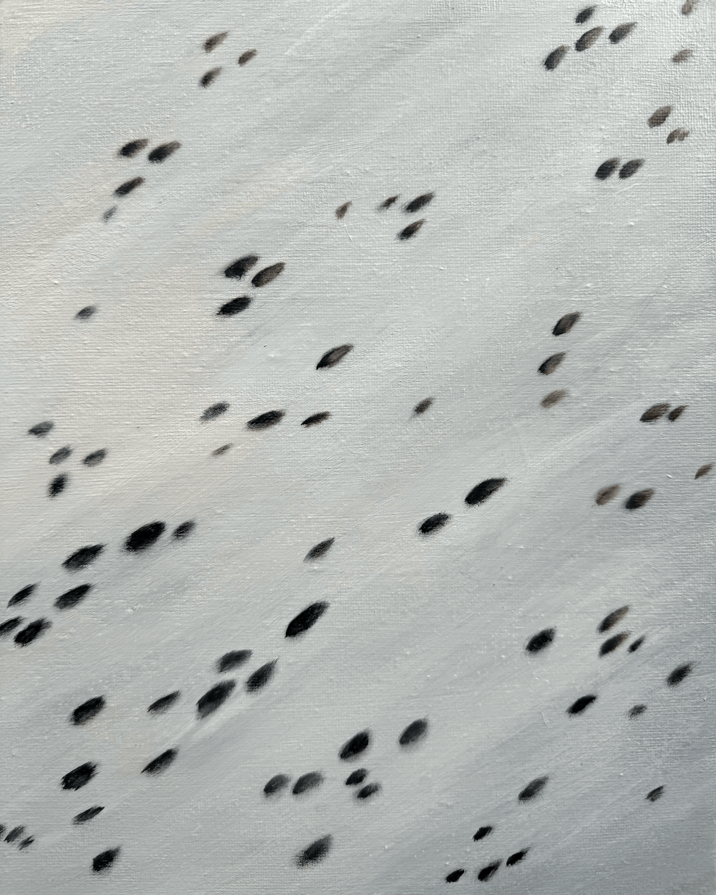 spotted pattern texture black and white fur appaloosa horse painting.