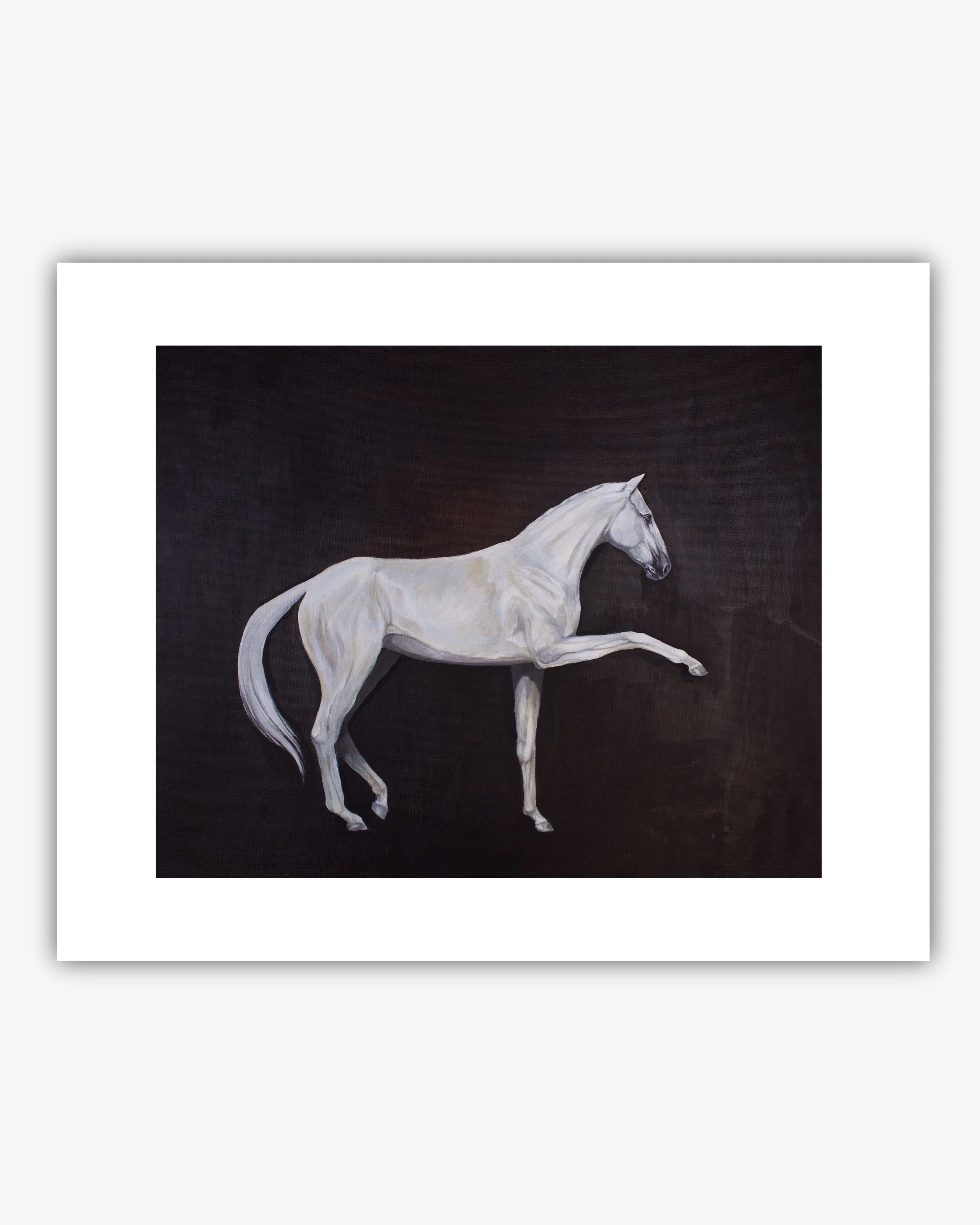 "Andalusian Horse" print