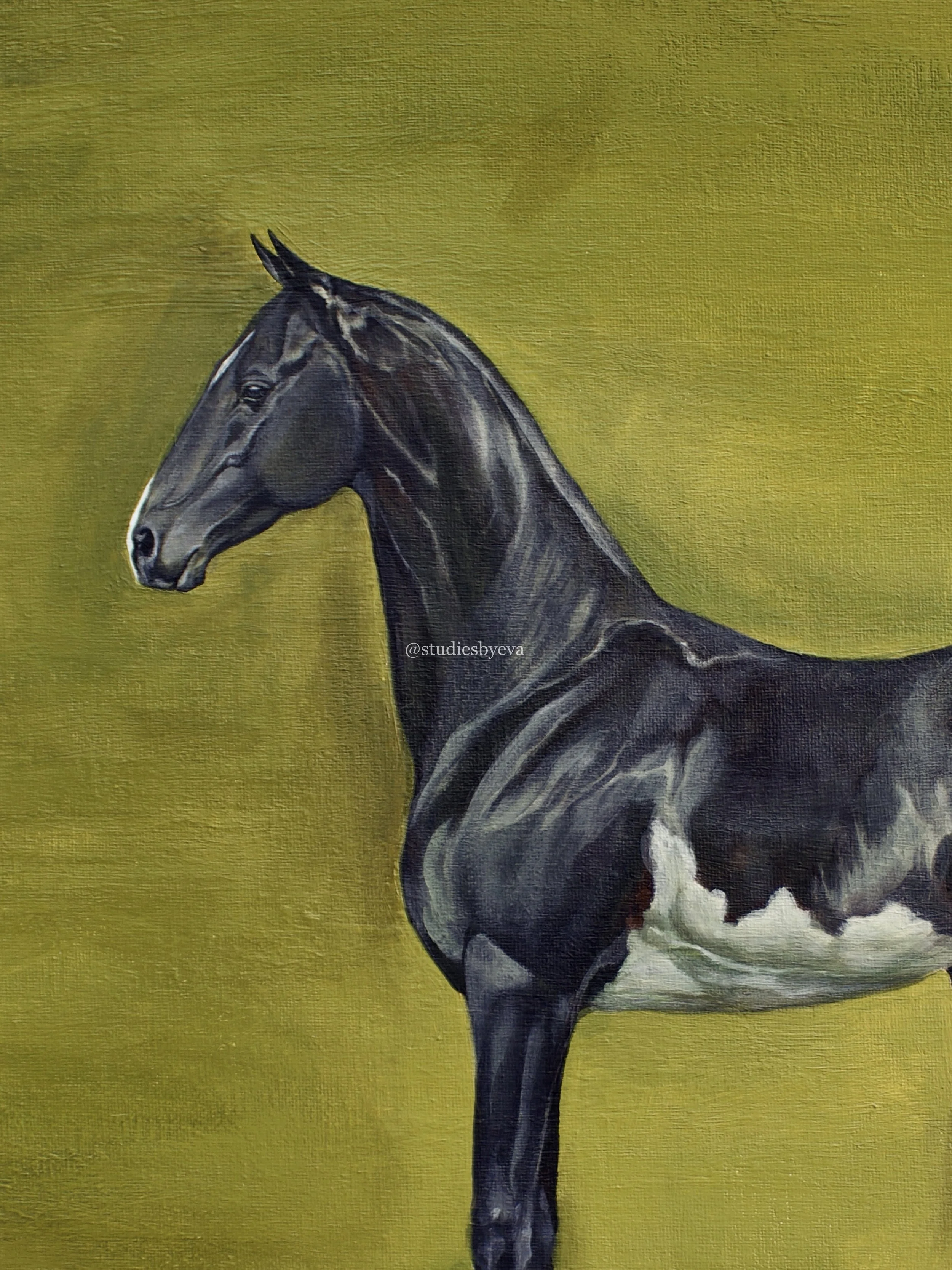 Akhal-Teke horse painting on a moss green background.