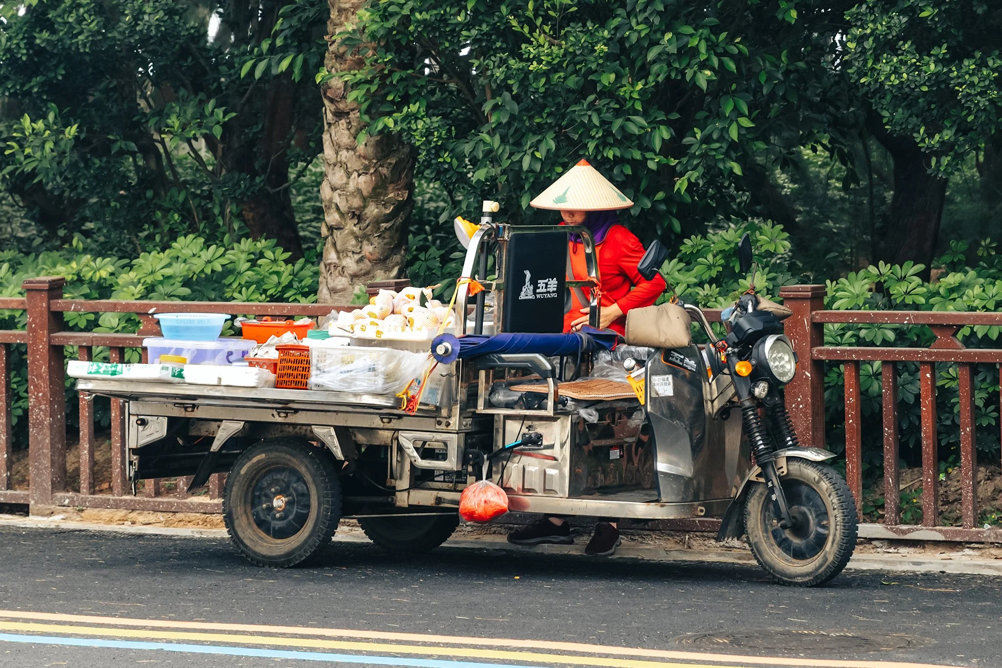 A street vendor wearing a traditional conical Asian hat and a red jacket, sitting on a motorized delivery cart with a motorcycle at the front, parked along a sidewalk with a green leafy background.
