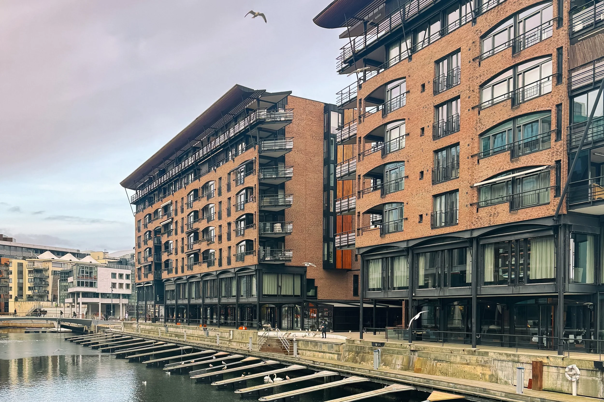 Modern multi-story brick and glass residential building with balconies, located next to a waterfront with docks and seagulls flying overhead.