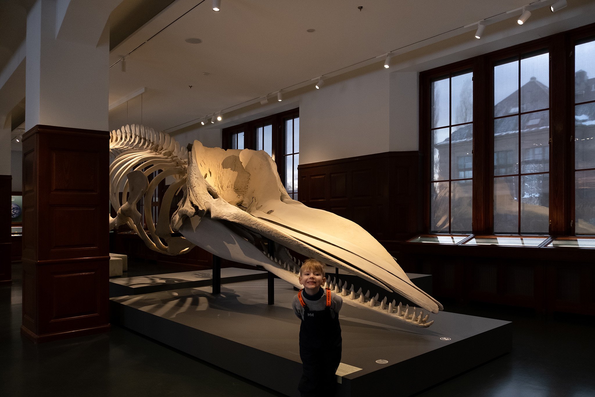 A young boy with a big smile standing in front of a large whale skeleton display in a museum, with wooden window frames and snow outside.