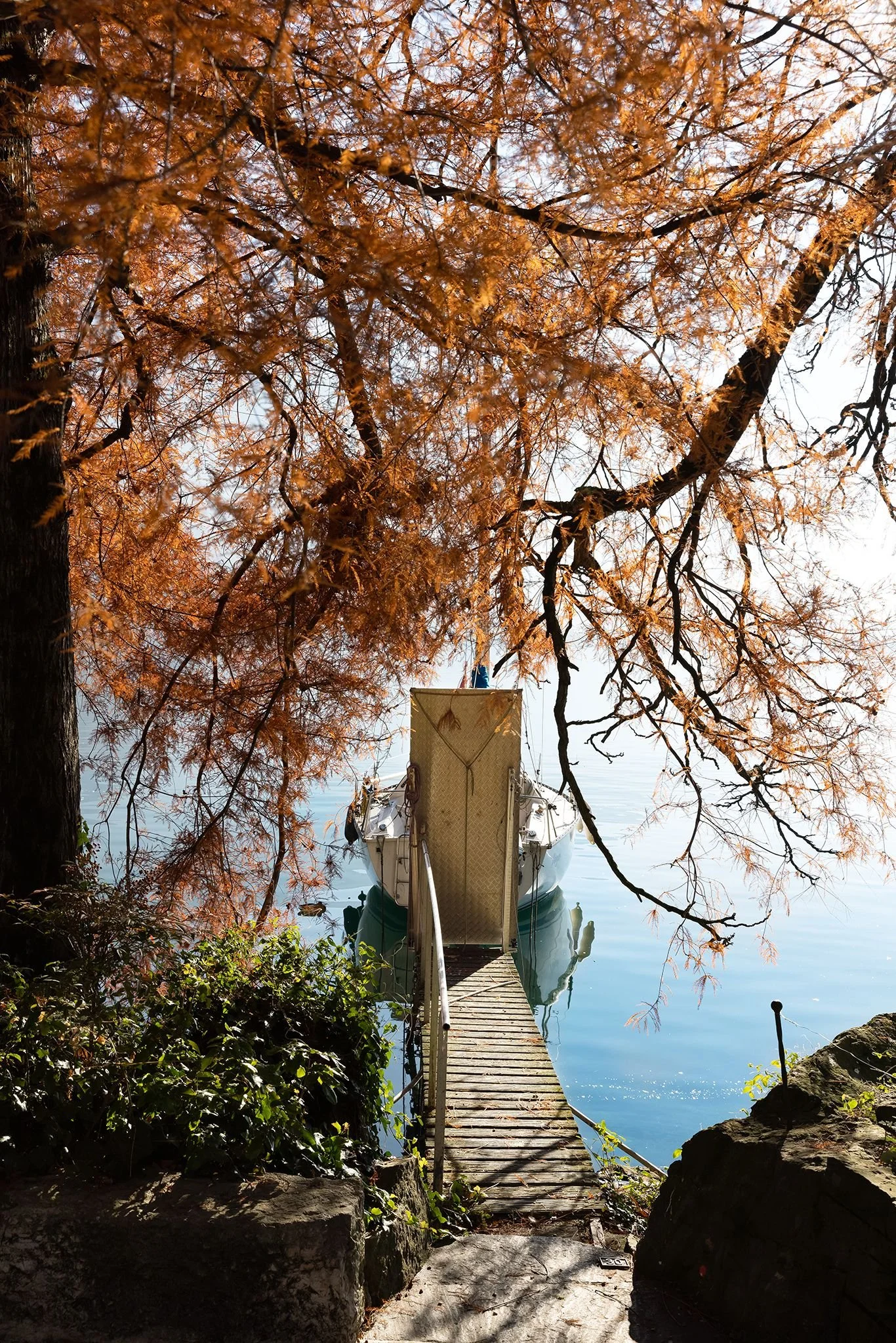 View of a wooden dock leading to a boat in calm water, framed by trees with orange leaves, in autumn.