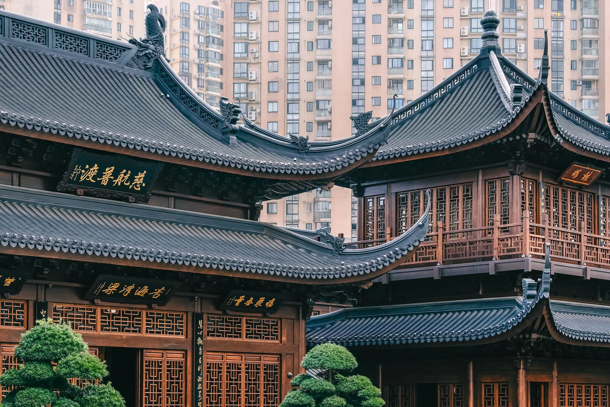Traditional Chinese-style wooden temple with ornate curved roof and decorative dragon figures, set against a backdrop of modern high-rise apartment buildings.
