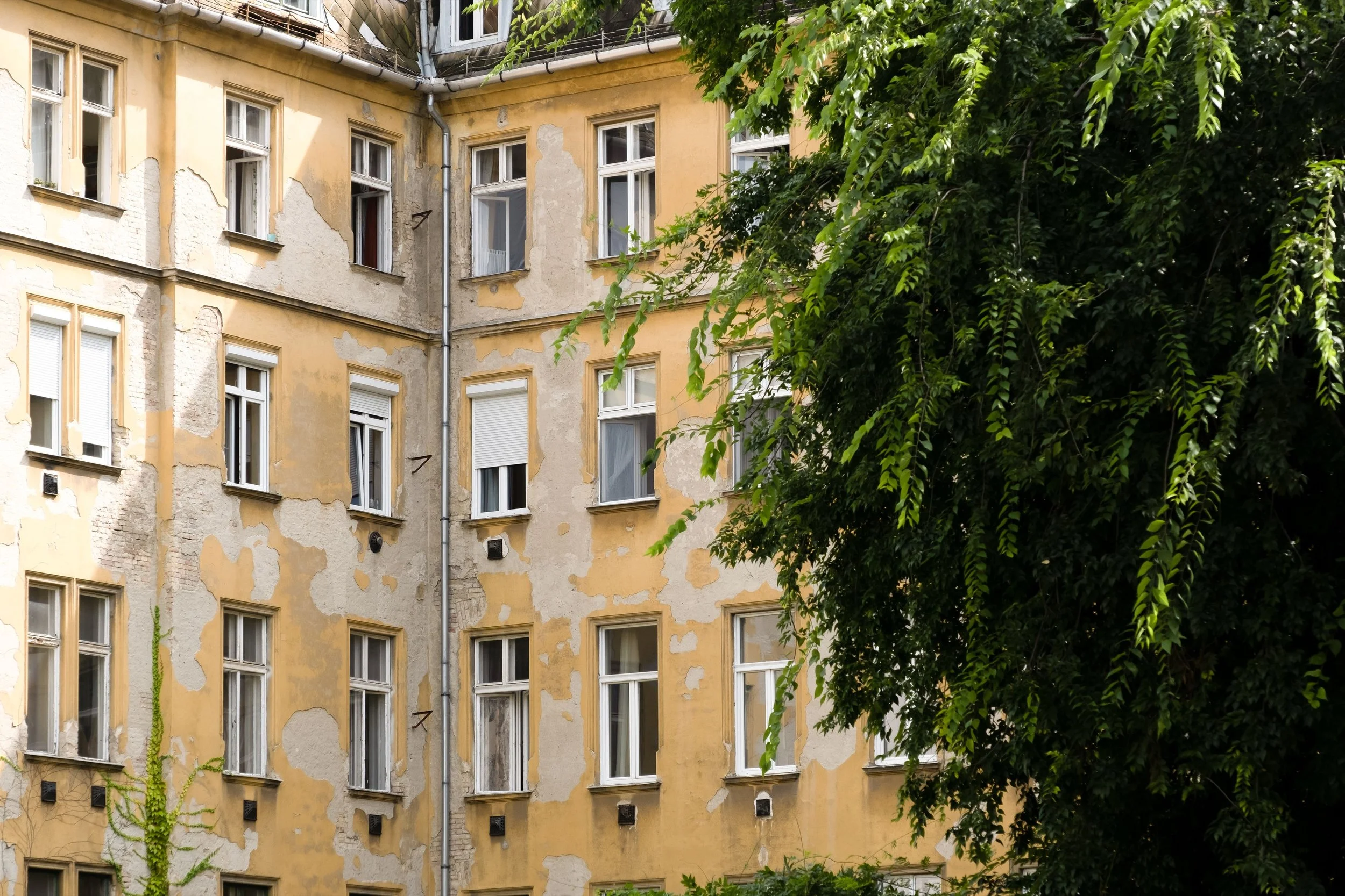 Old building with peeling yellow paint and multiple windows, surrounded by green foliage, in an urban setting.