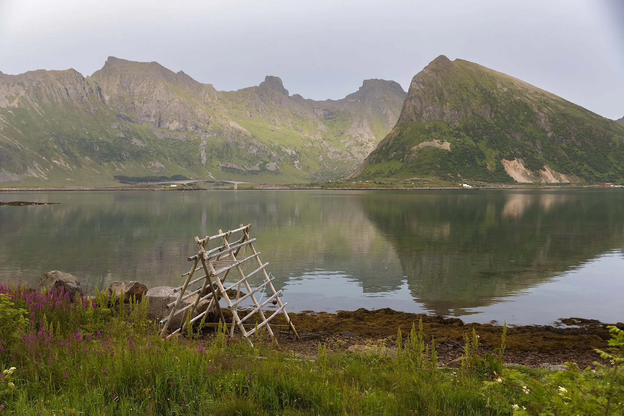 Scenic view of green mountains reflected in a calm body of water, with a small dock and purple wildflowers in the foreground.