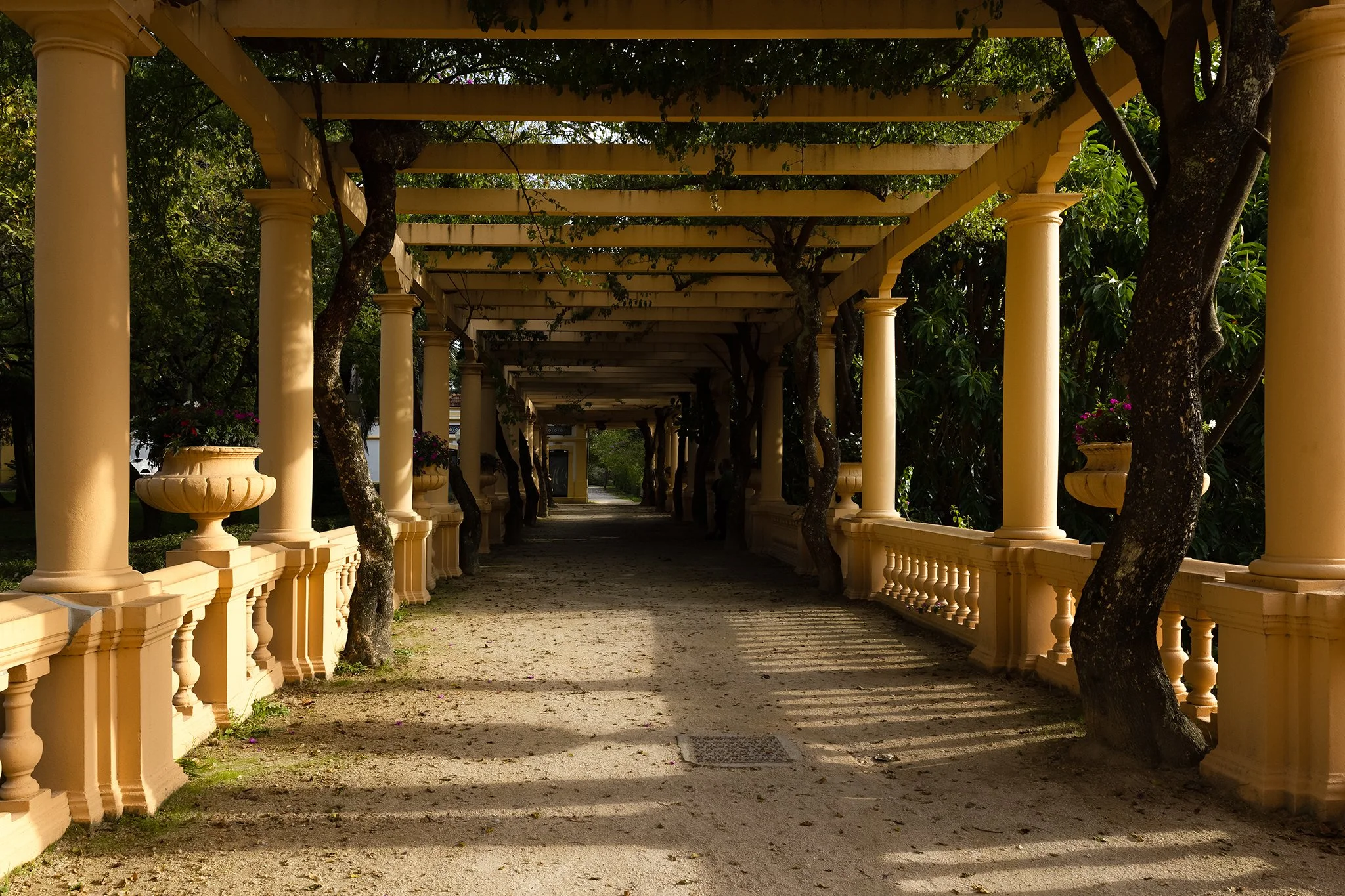 A yellow pergola with columns, situated in a garden with trees and potted plants, casting shadows on the ground.