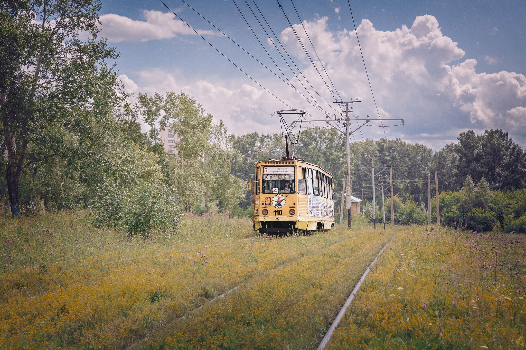 A yellow tram is moving along a railway track through a grassy field filled with small purple and yellow flowers. The tram is under power lines, and there are trees and a building in the background under a partly cloudy sky.