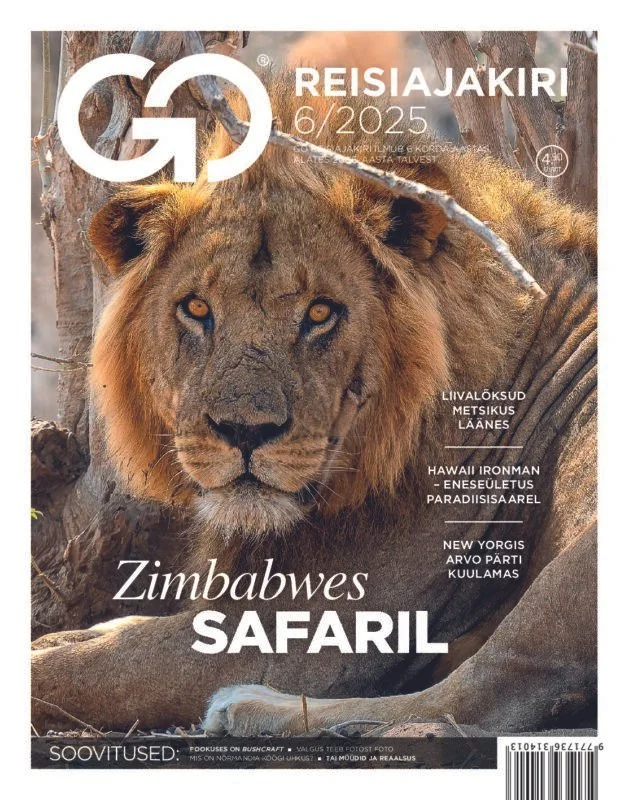 Magazine cover featuring a close-up of a lion lying in a savannah environment, with text promoting a Zimbabwe safari.