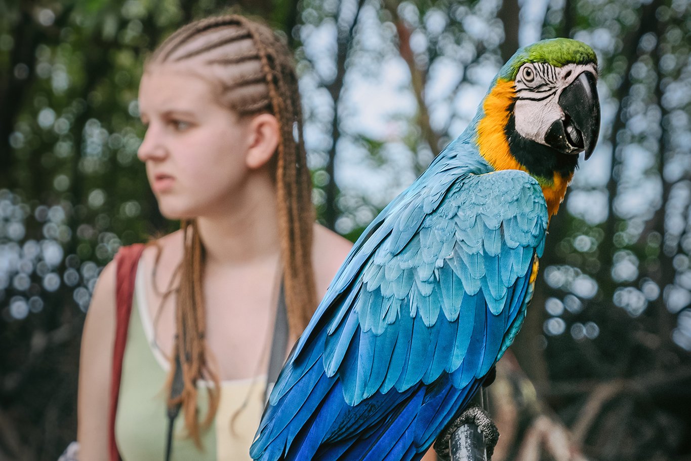 A woman with braided hair looking to the side with a large blue and yellow macaw parrot perched on her arm in a wooded area.