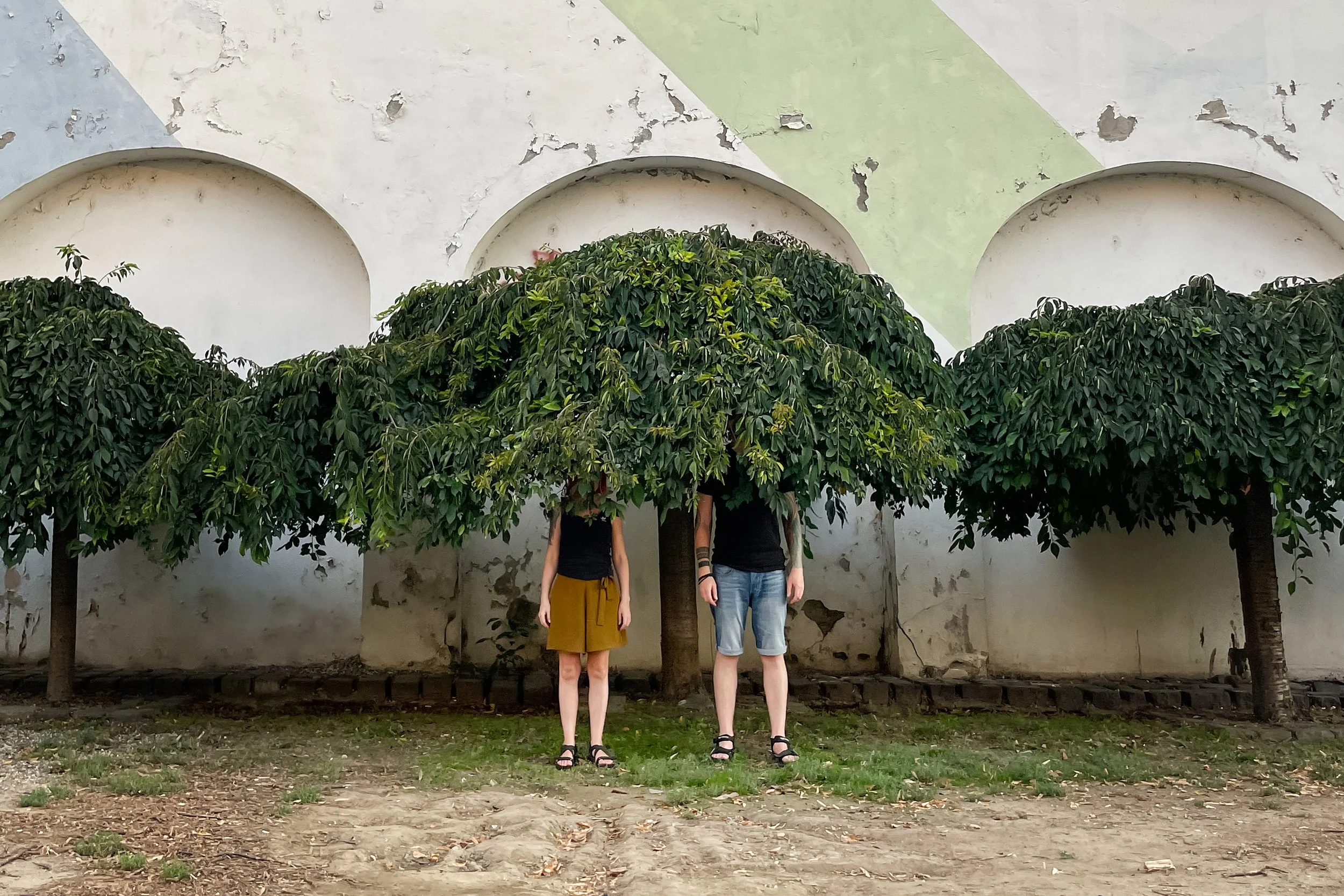Two people standing in front of a weathered white wall with peeling paint and three small arched niches. They are partially hidden behind a row of leafy trees, with only their legs and torsos visible. The person on the left is wearing a black top and a mustard yellow skirt, while the person on the right is dressed in a black top and light blue jeans. The scene takes place outdoors on a grassy area with soil and fallen leaves.