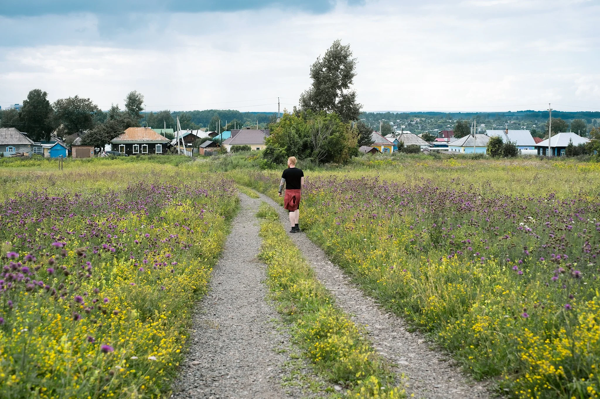 A person walking down a dirt path through a meadow filled with purple and yellow wildflowers, with a small town and cloudy sky in the background.