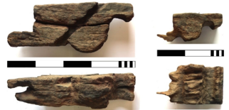Preserved and carved timbers