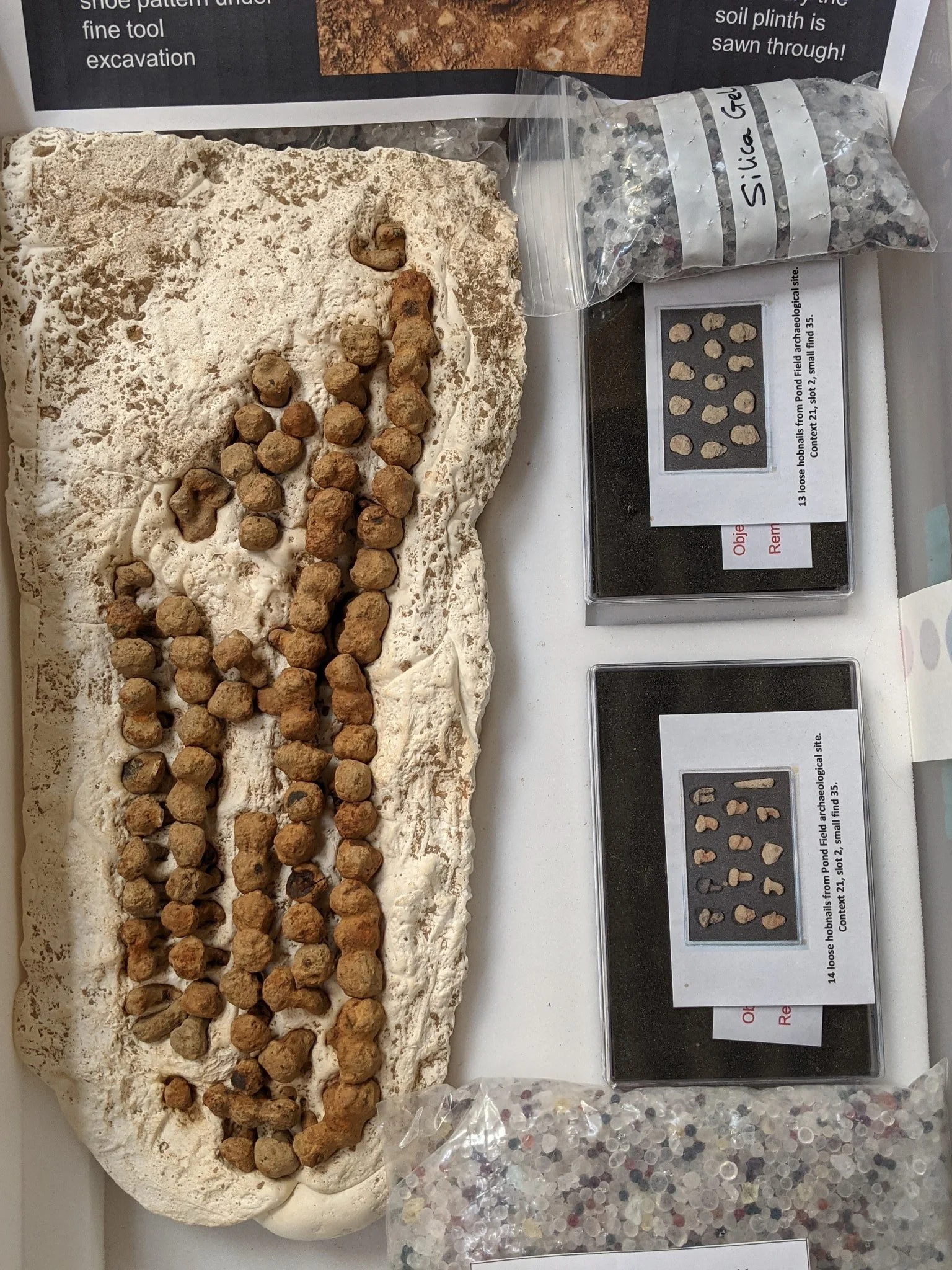 Roman hobnail shoe after conservation work. 