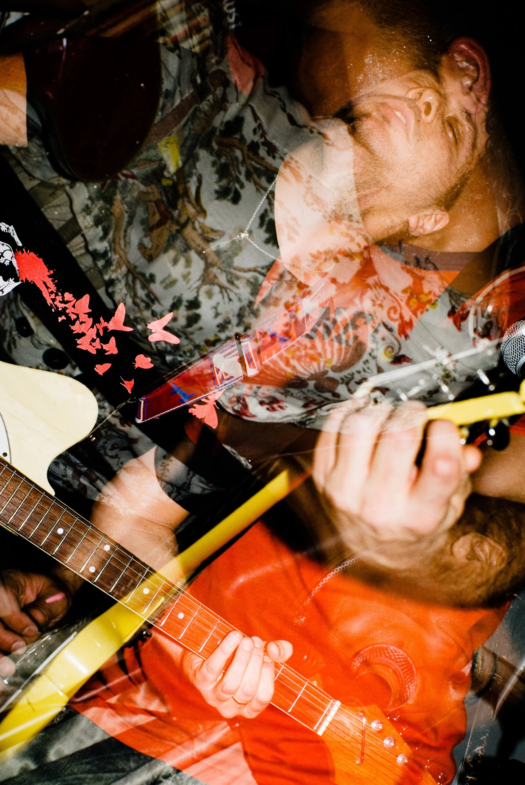 Zebulon-Pink-Noise-005.jpg