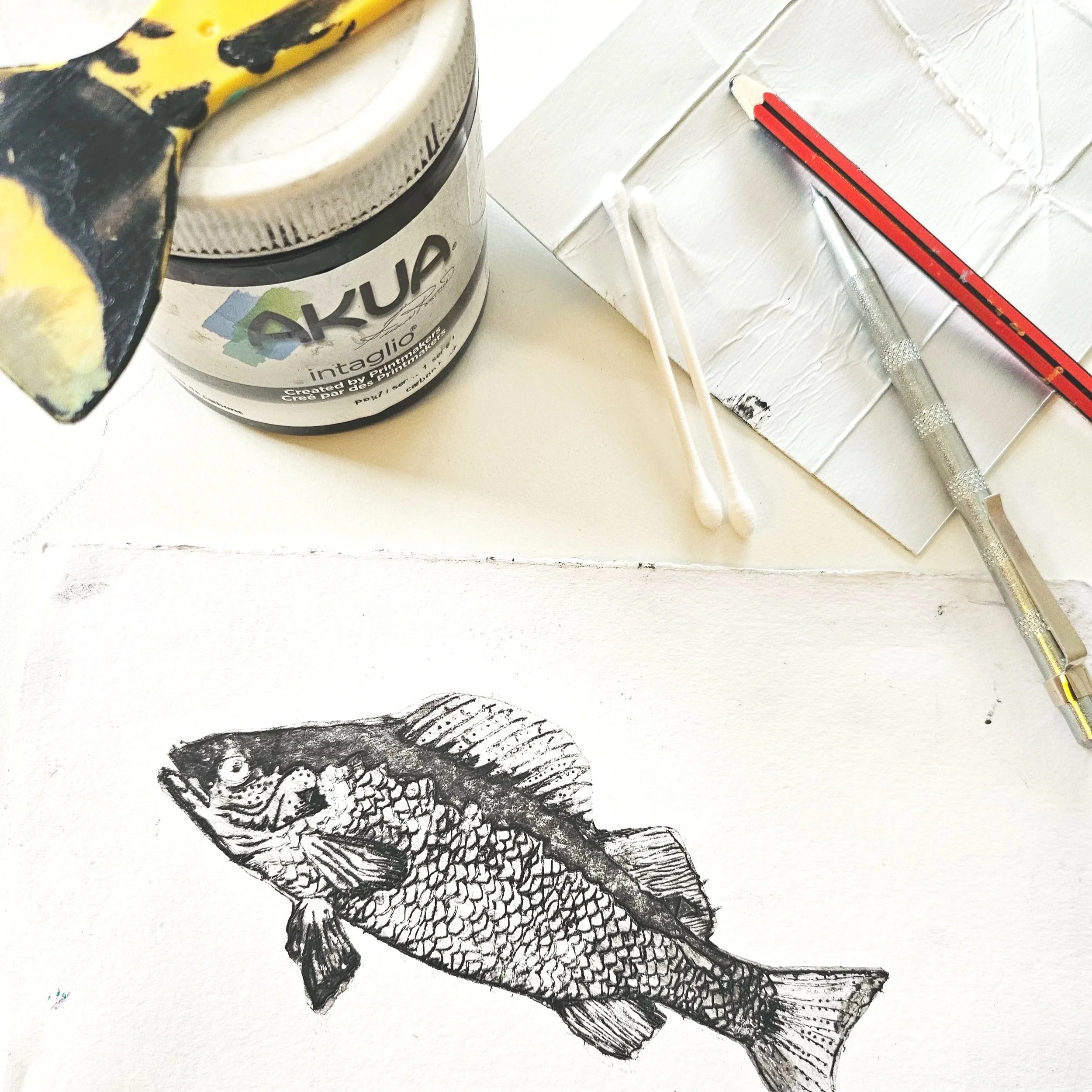 20251017_131742.jpg (Copy) (Copy)