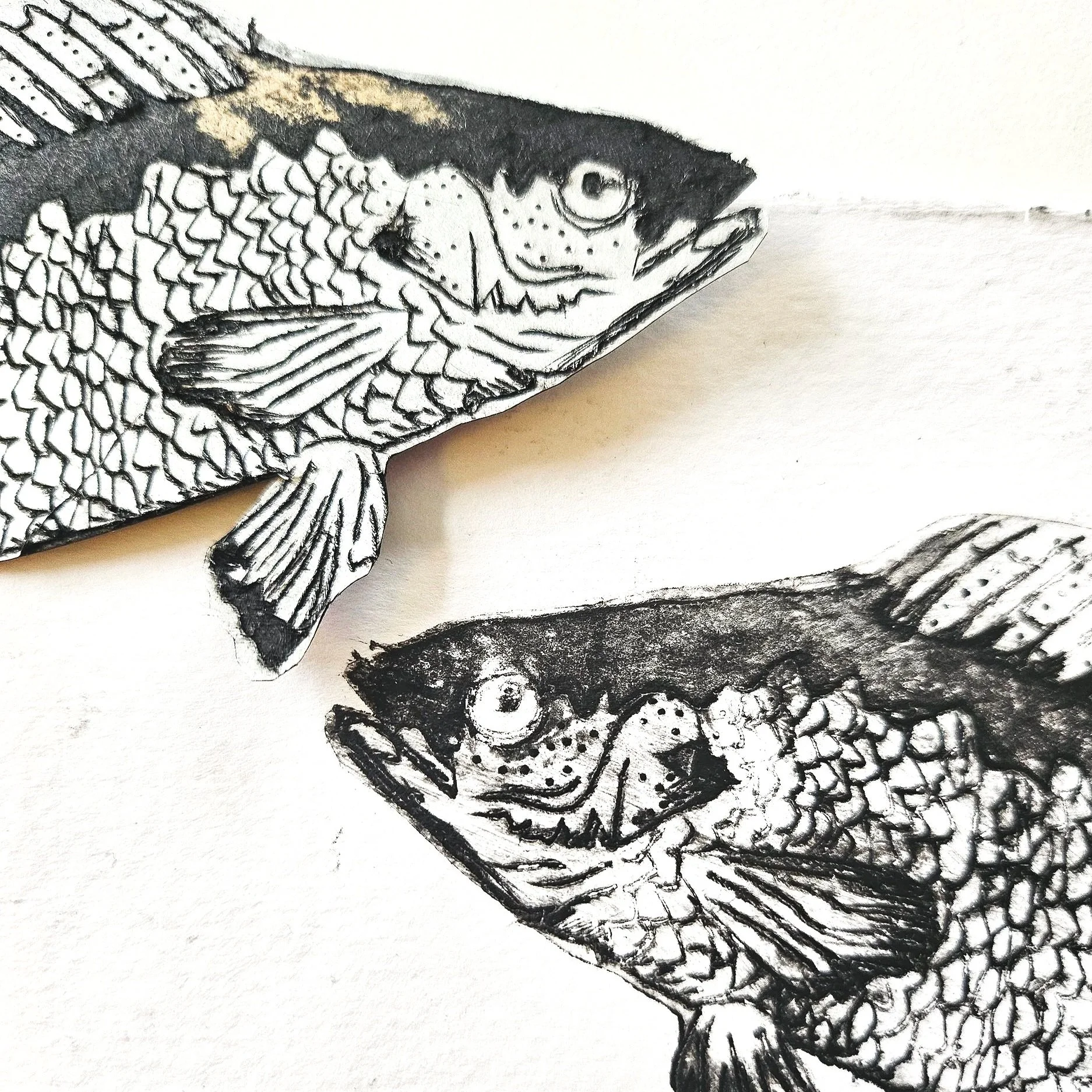 20251017_131410.jpg (Copy) (Copy)