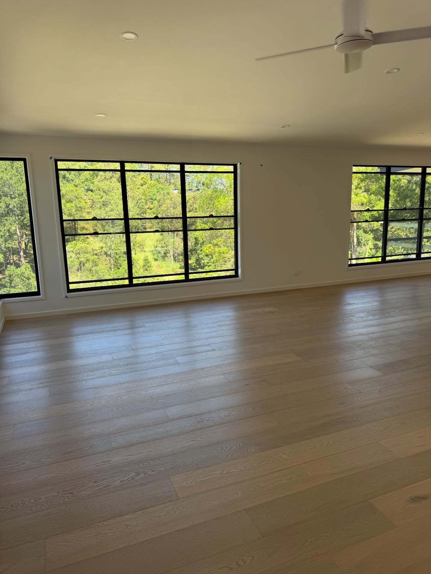 Details on the Sunshine Coast 🌴