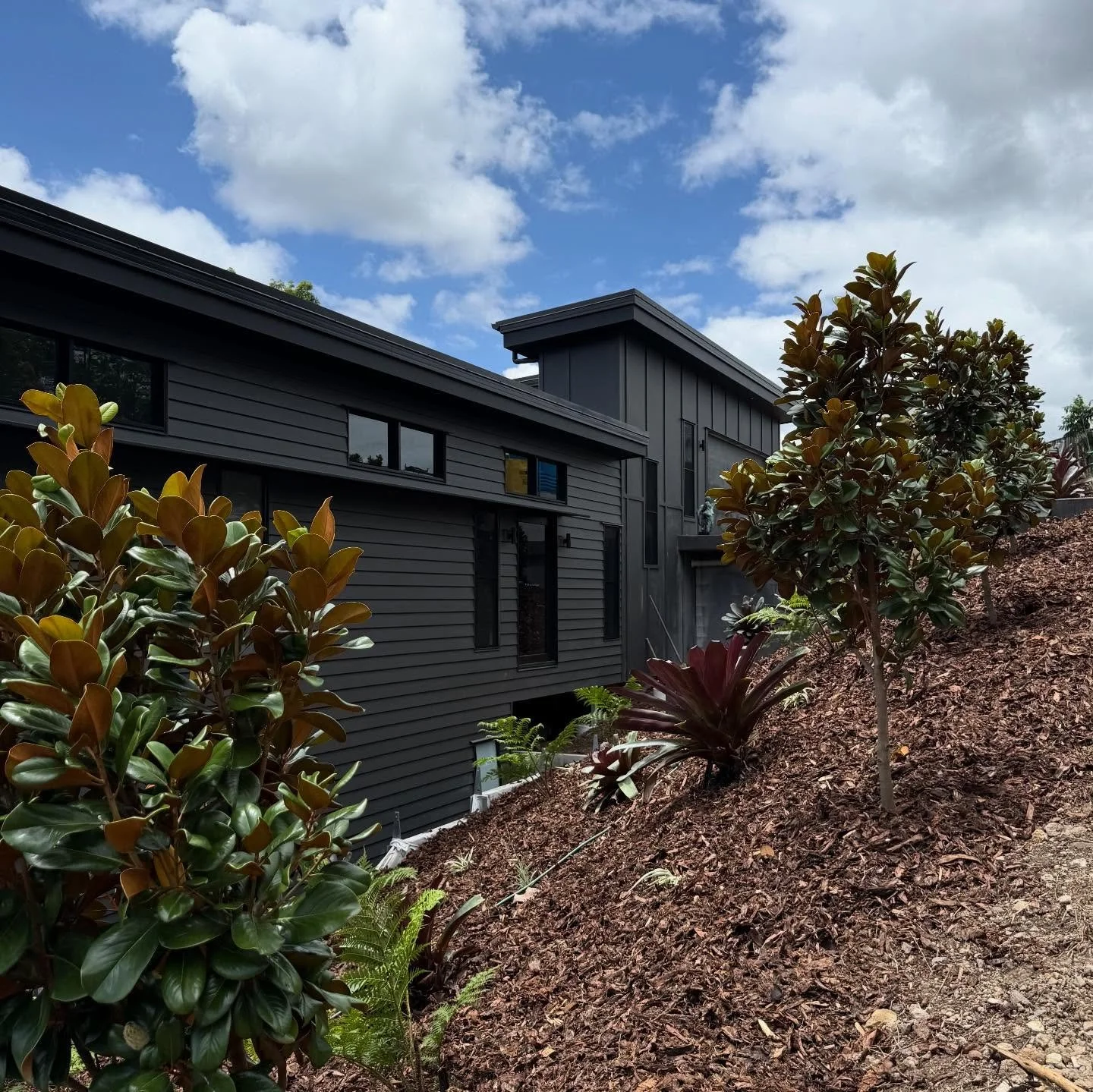 Landscaping install at Project Le&rsquo;Strange 🌳

When greenery meets the bold finish of the residence&rsquo;s exterior. 

#hinterland #sunshinecoasthomes #builderbrisbane #noosarealestate