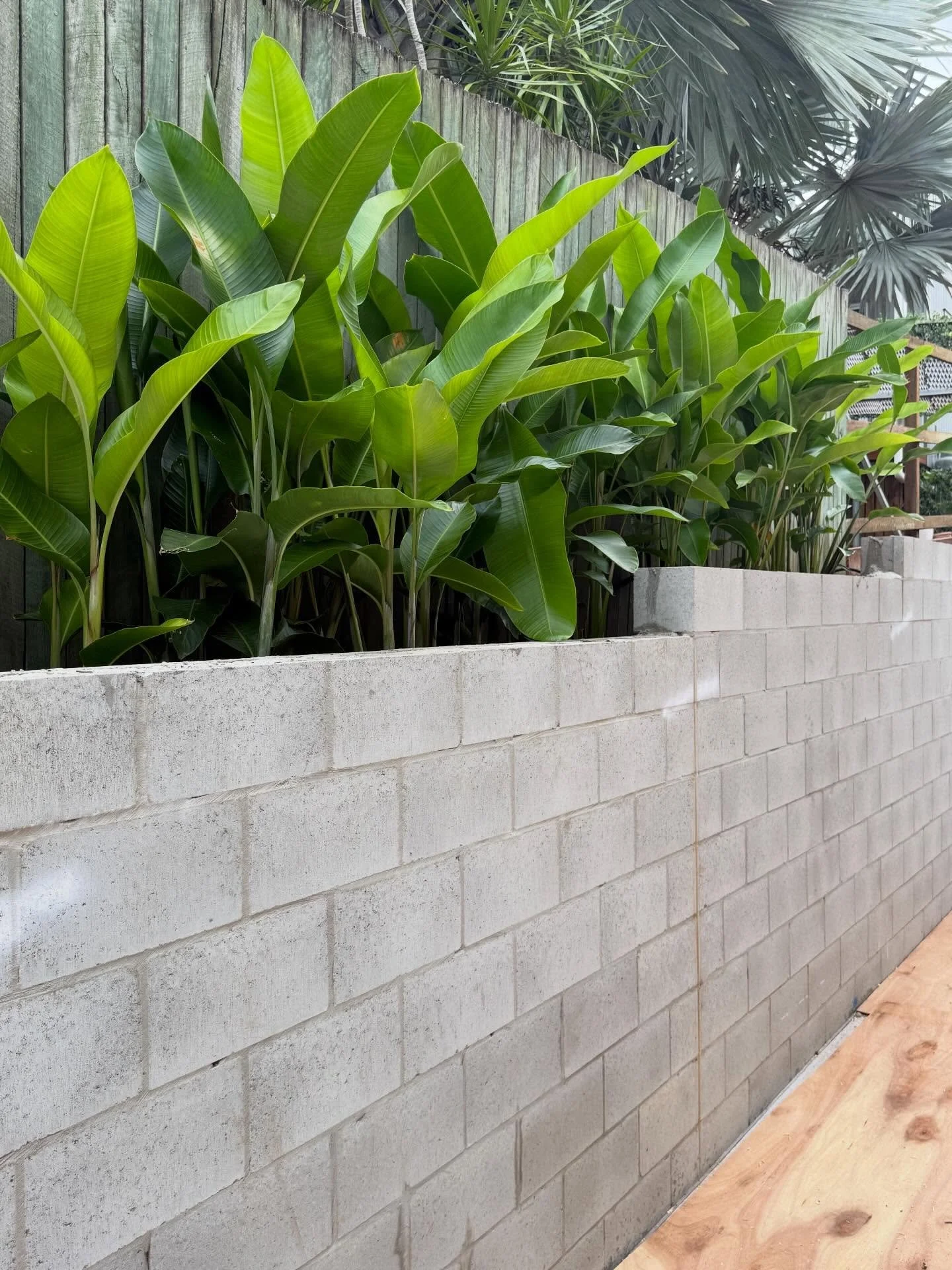 Updates from Project Porter. 

#brisbanebuilder #architecturalbuilder #customhomesbrisbane