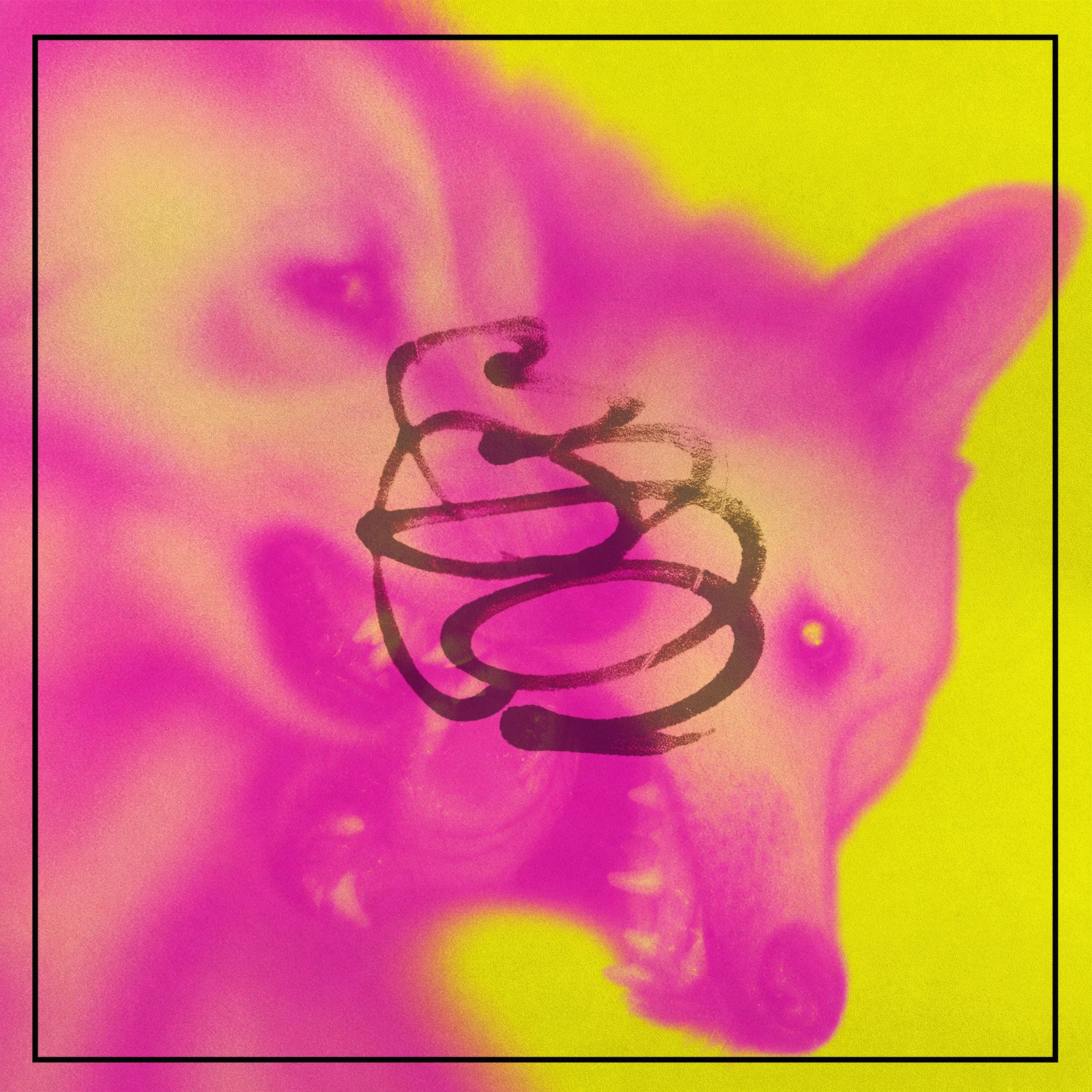 Stange Animals