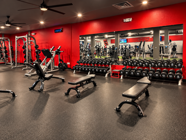 Premium dumbbells and strength equipment