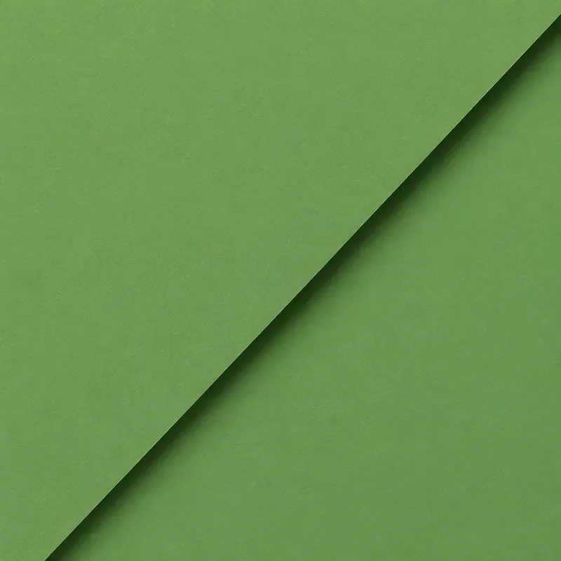 Close-up of a piece of green paper with a diagonal fold.