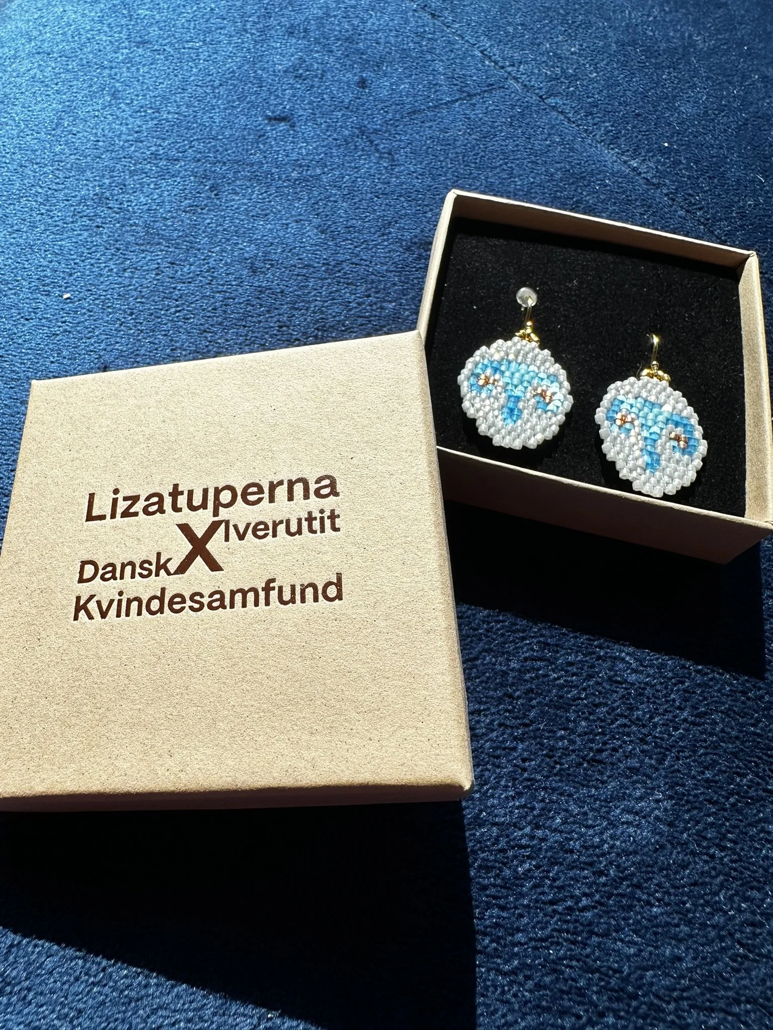 Øreringe | DKS x iverutitbylizatuperna | Sølv-blå