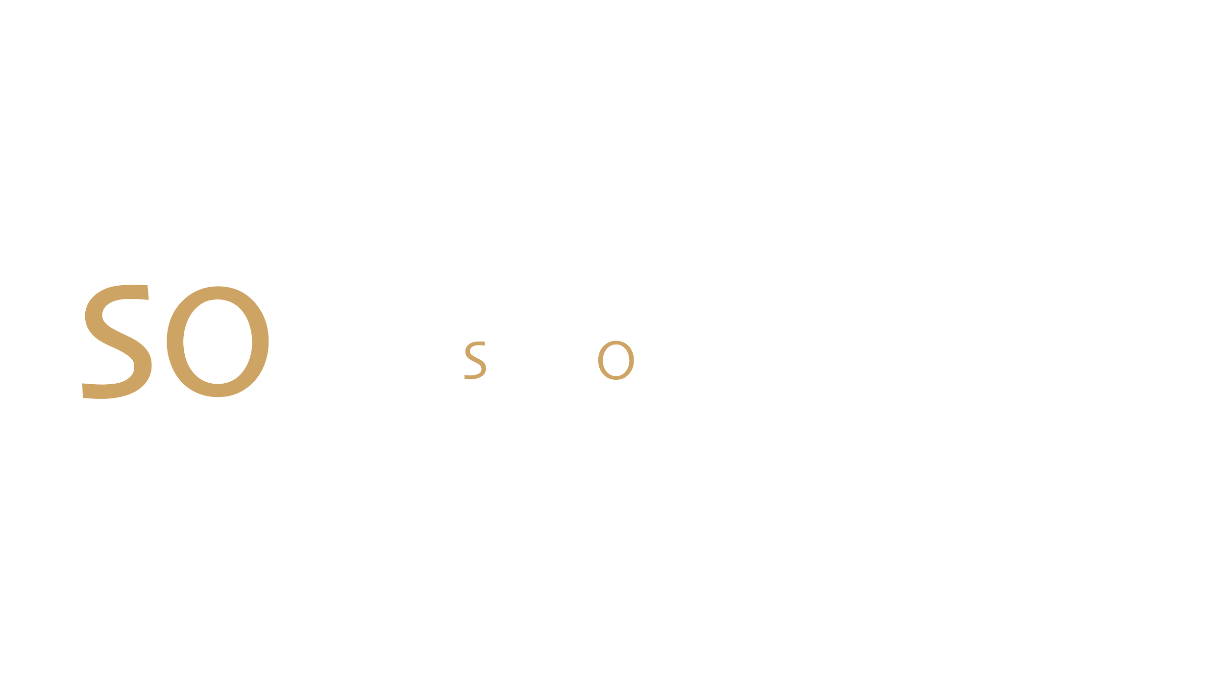 Logo of Sinocean Petroleum Venture Capital Limited with Chinese and English company names.