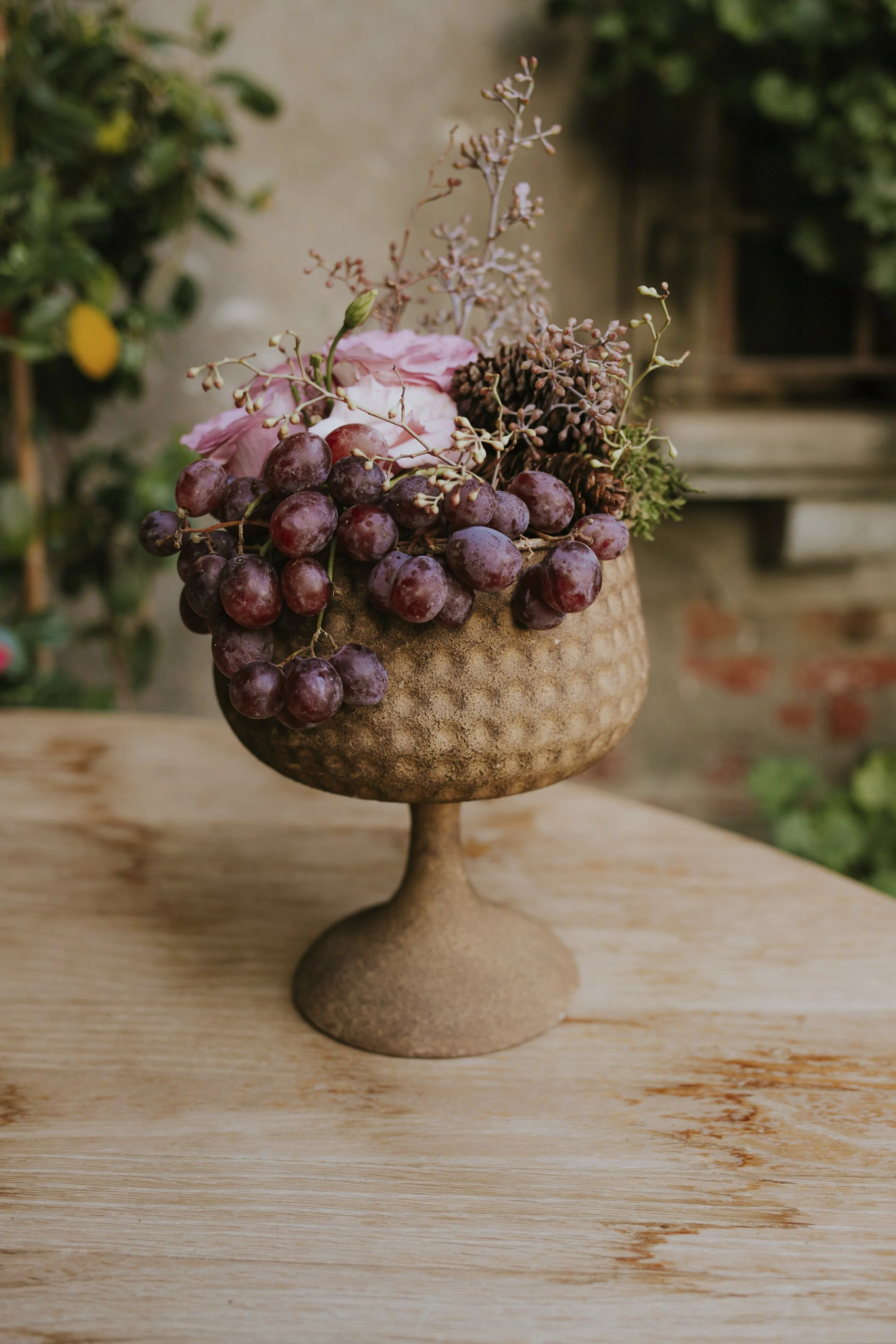 ViminBox (353) (1).jpg