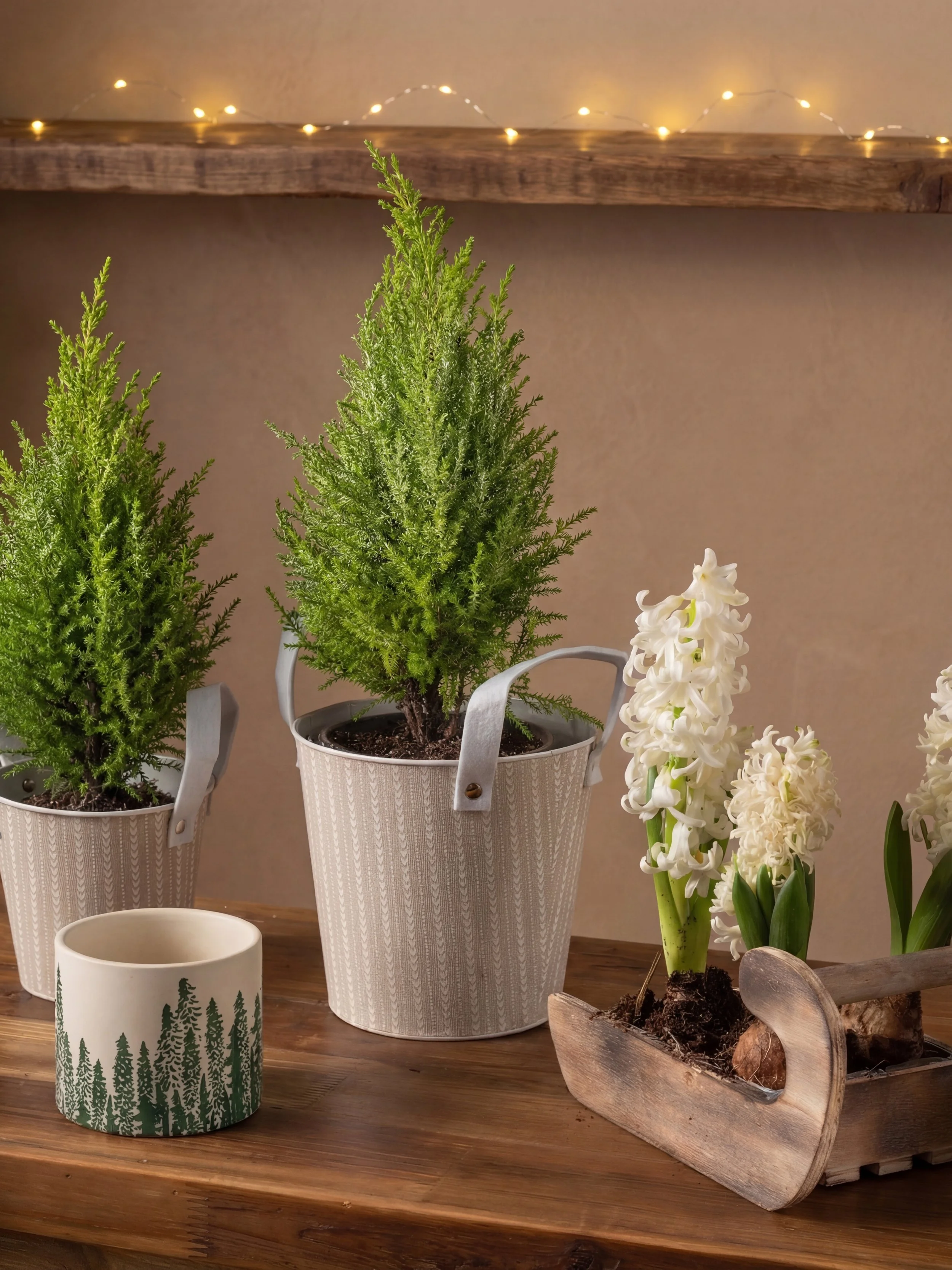 32_VIMINBOX0067 copia.jpg