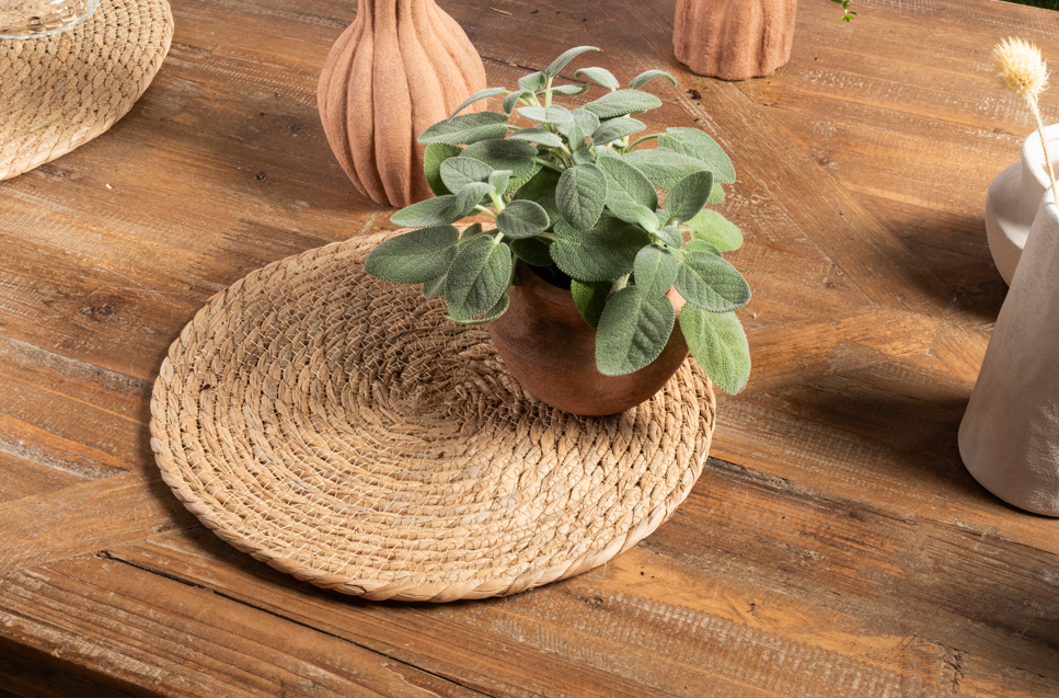 Image 2026-01-23 171228.png