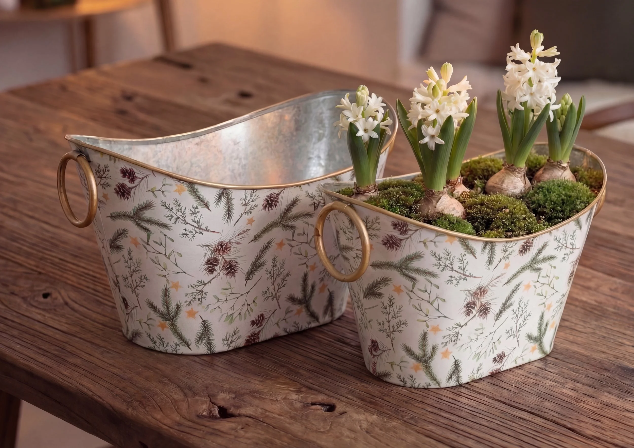 ambientata di MT0511.11.jpg