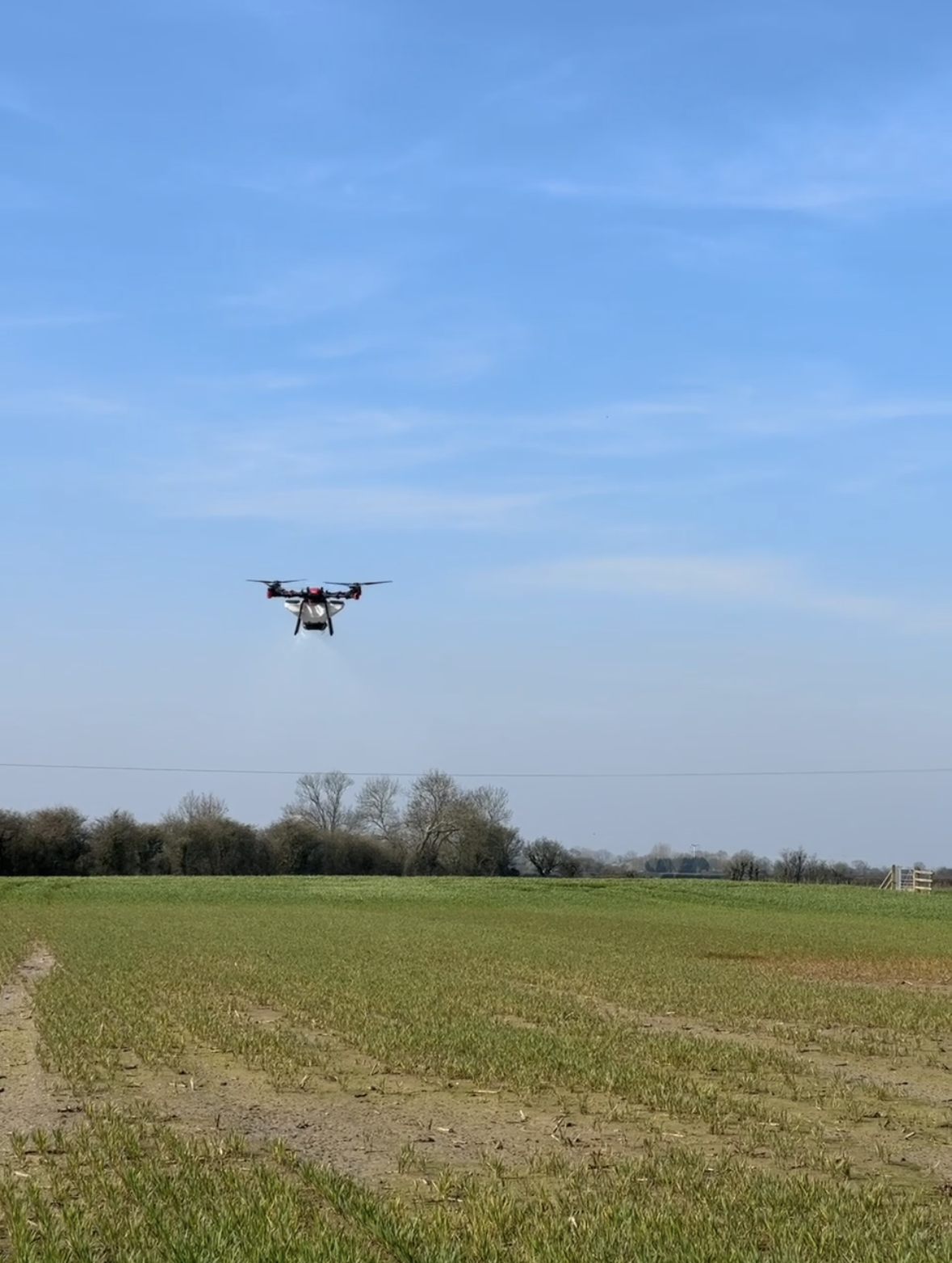 A drone flying over a green field under a blue sky with some clouds and trees in the background.