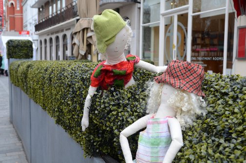 and Beanie always loved to sit in hedges