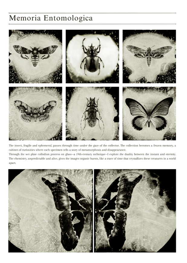 Capture d’écran, le 2026-03-28 à 14.48.44.png