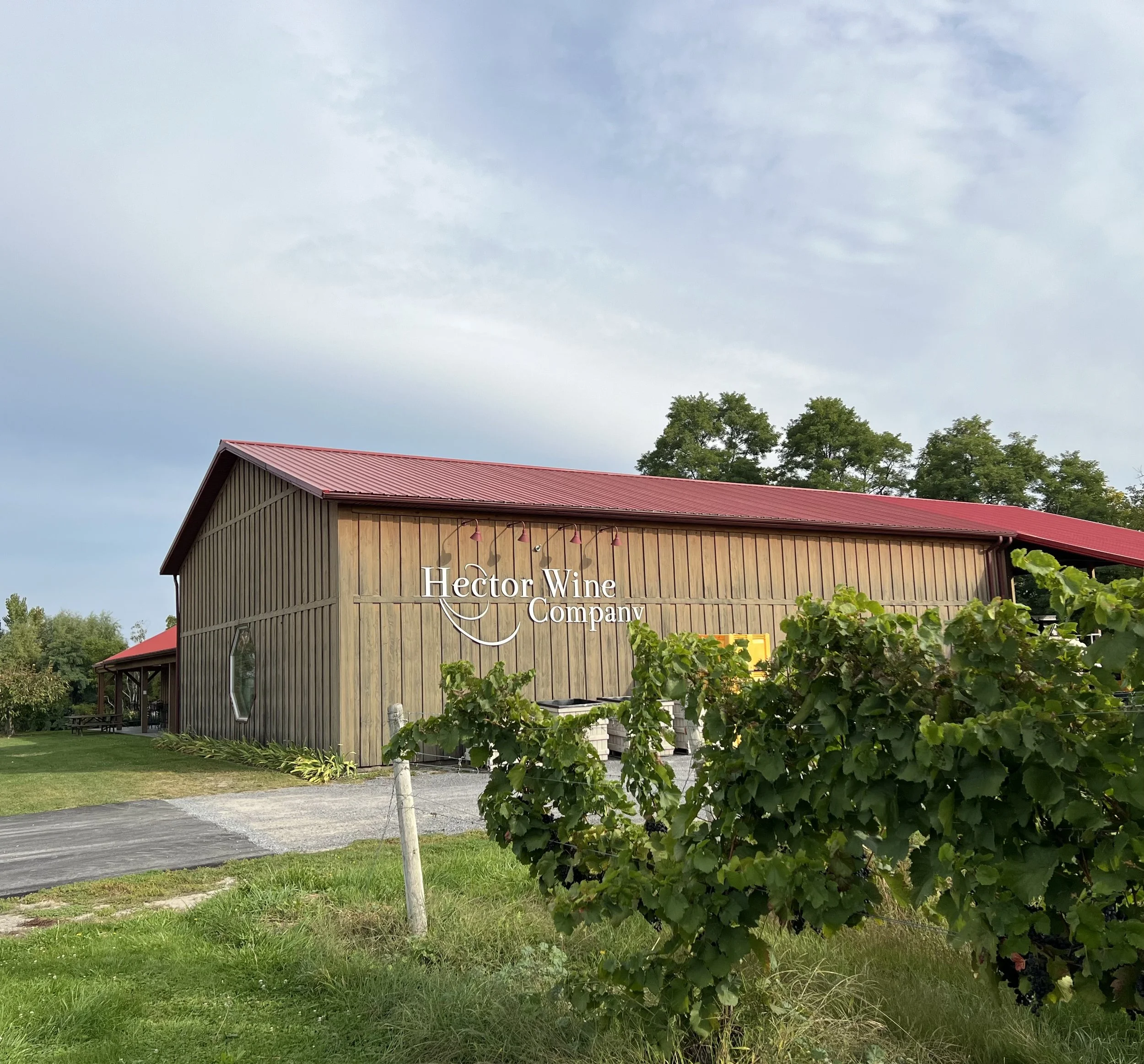 A wooden building with a red metal roof and sign that reads 'Hector Wine Company,' surrounded by grapevines and greenery under a partly cloudy sky.