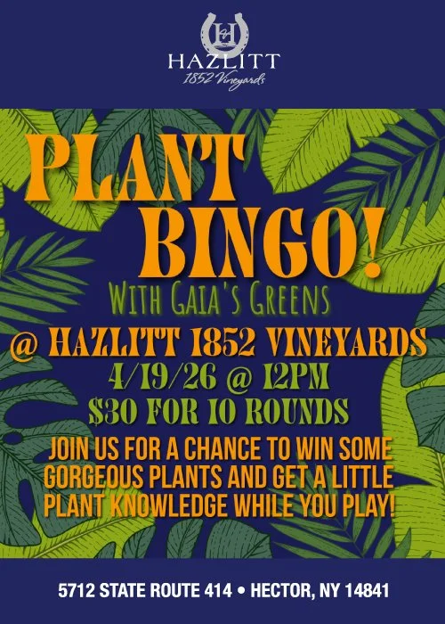 Plant Bingo at Hazlitt 1852 Vineyards