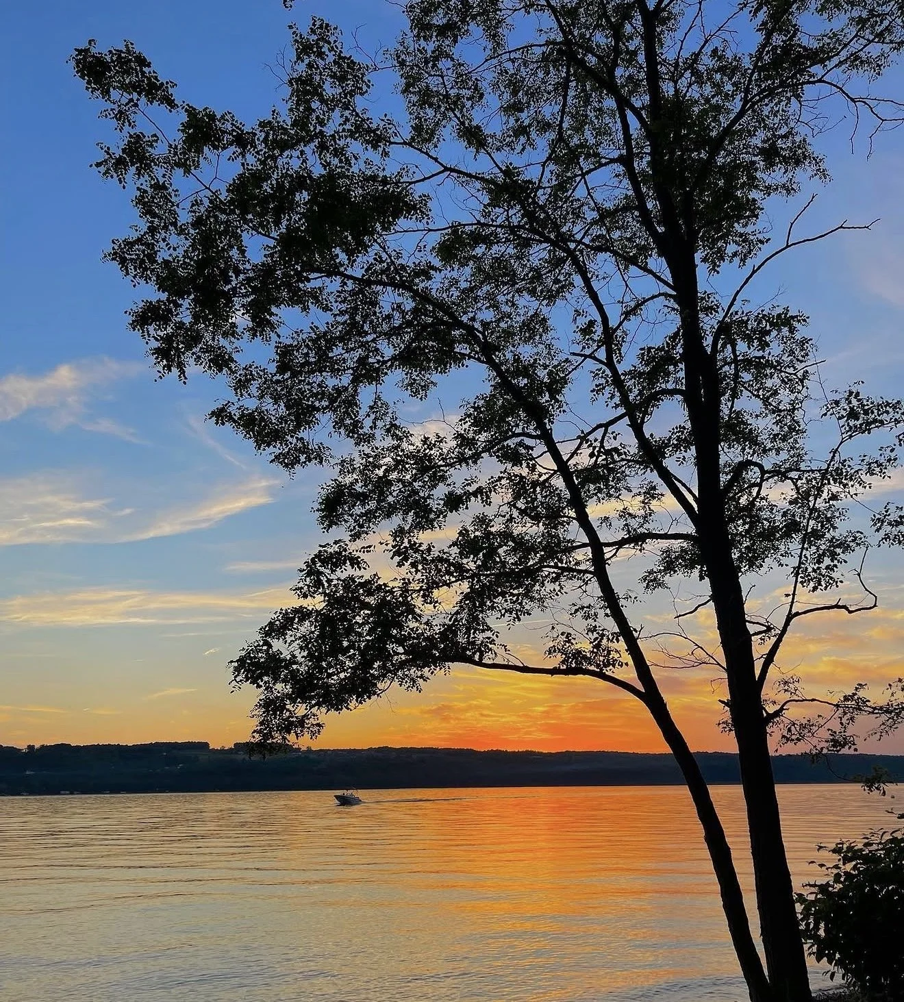 Smith Park Is Having Its Best Summer Yet